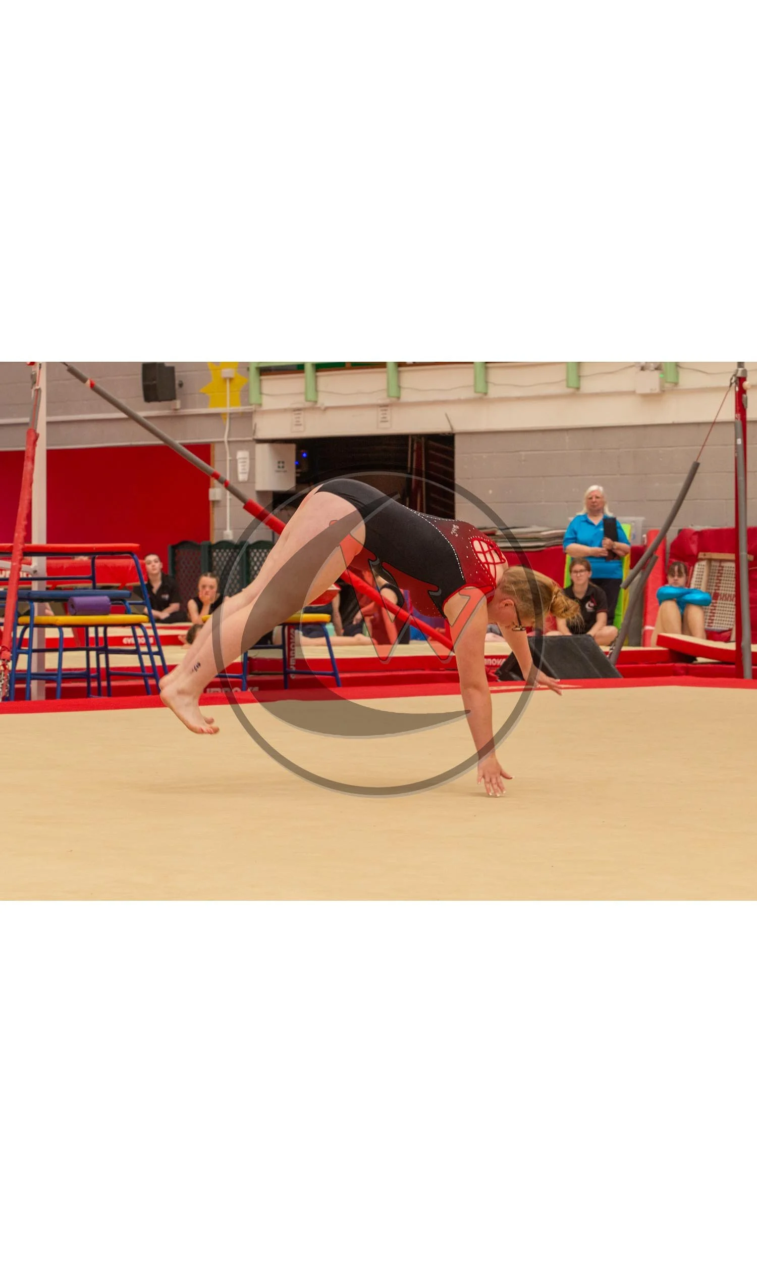 DN8R0040-watermarked-watermarked-Canvas.jpg