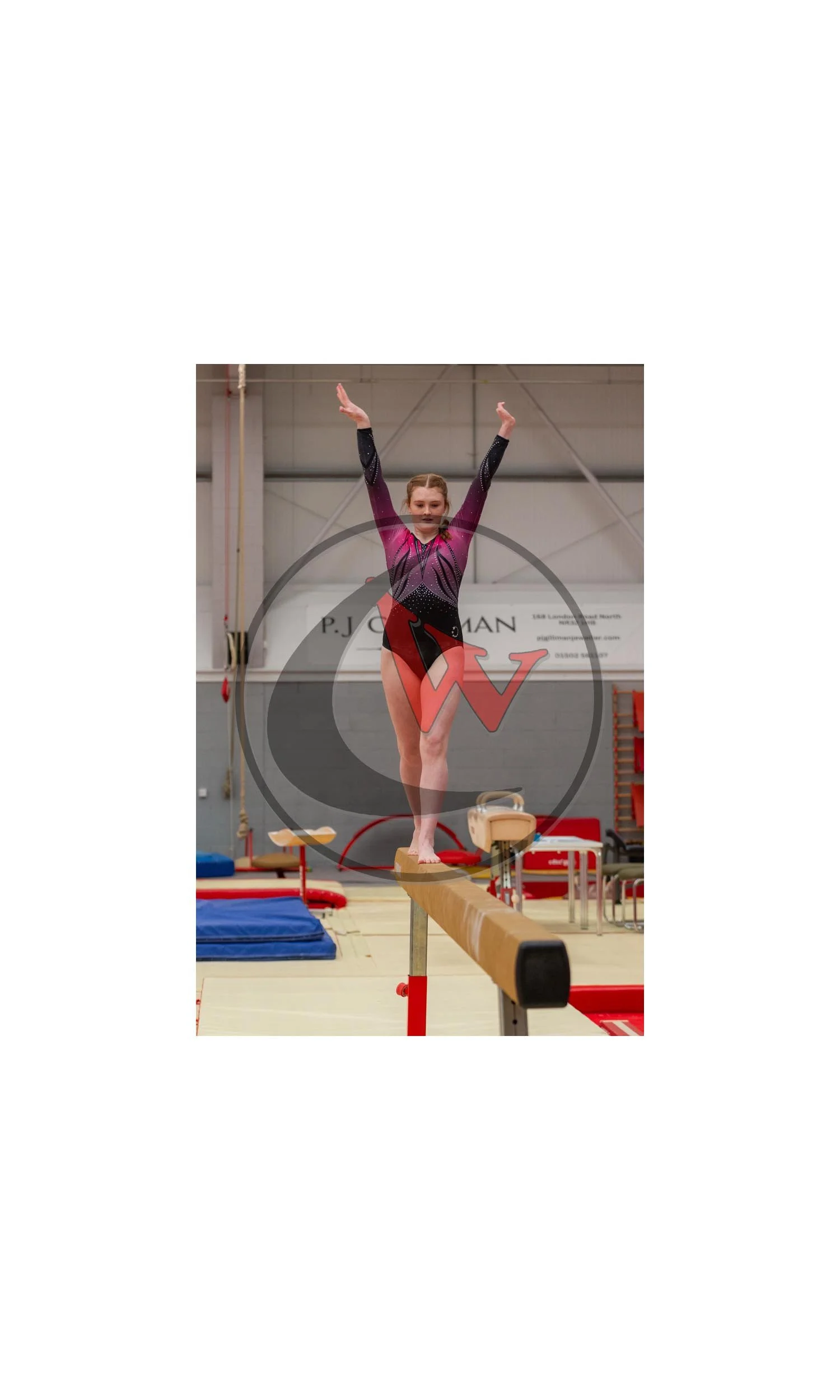 DN8R0451-watermarked-watermarked-Canvas.jpg