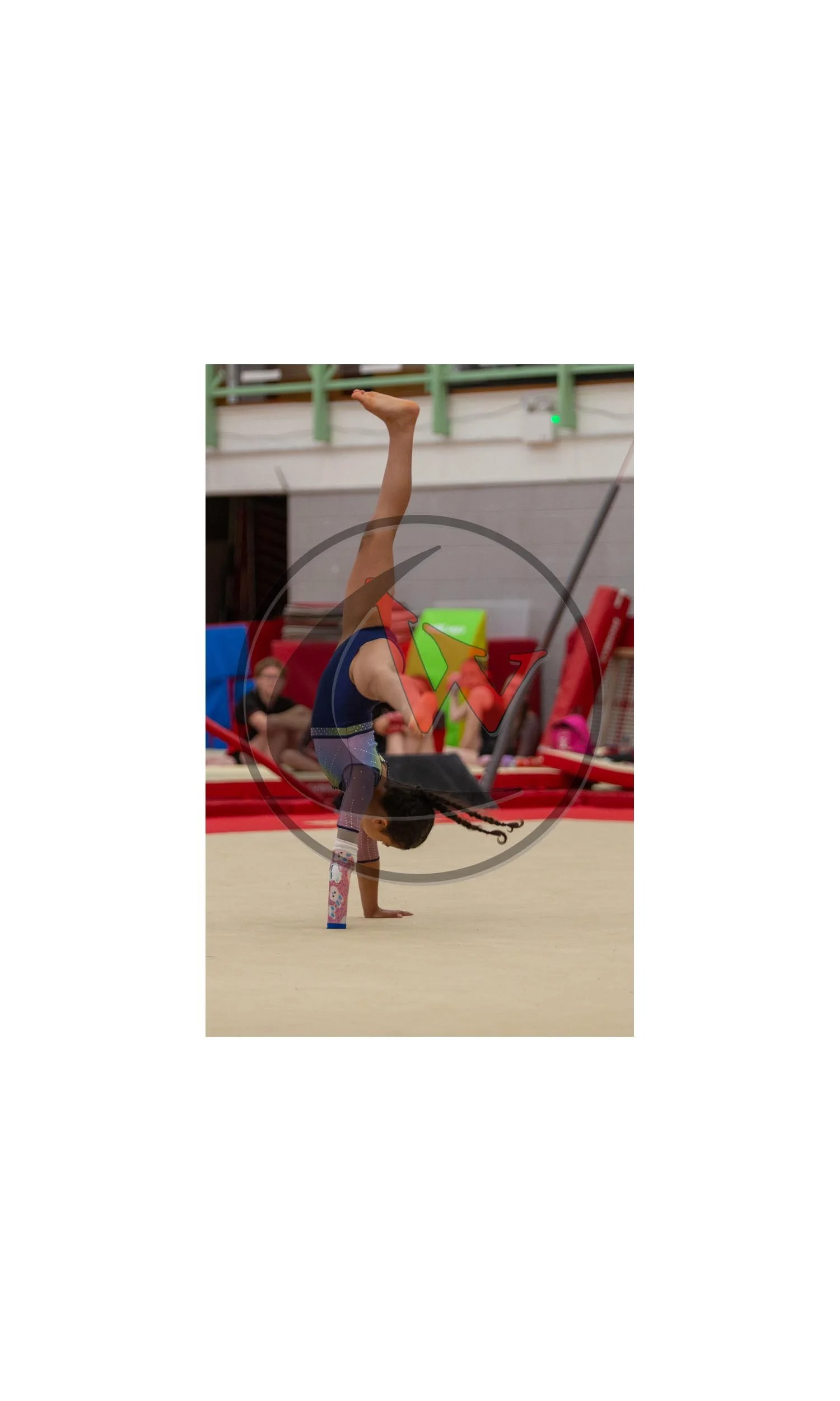 DN8R0683-watermarked-watermarked-Canvas.jpg