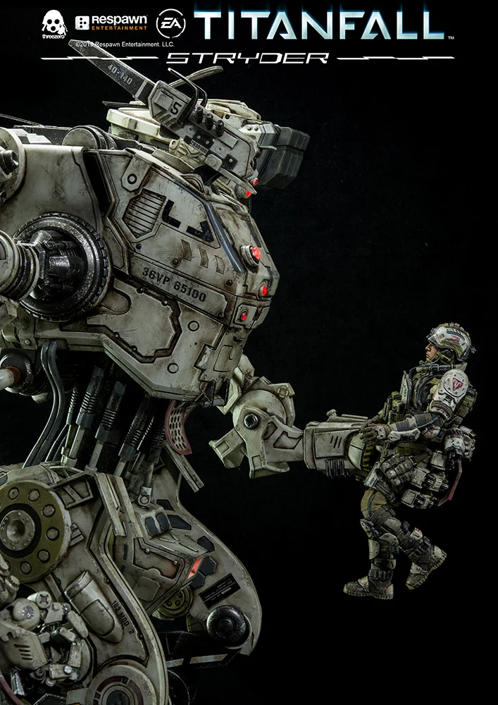 TF_Stryder_DSC_2760.jpg