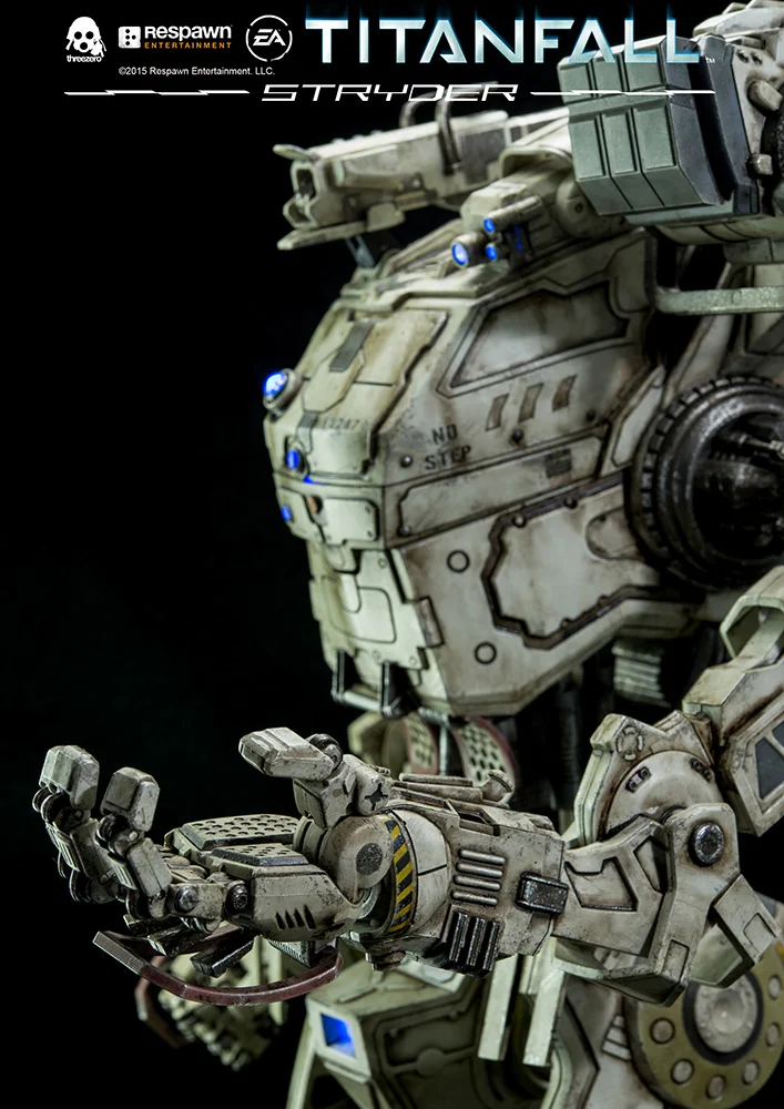 TF_Stryder_DSC_2685.jpg