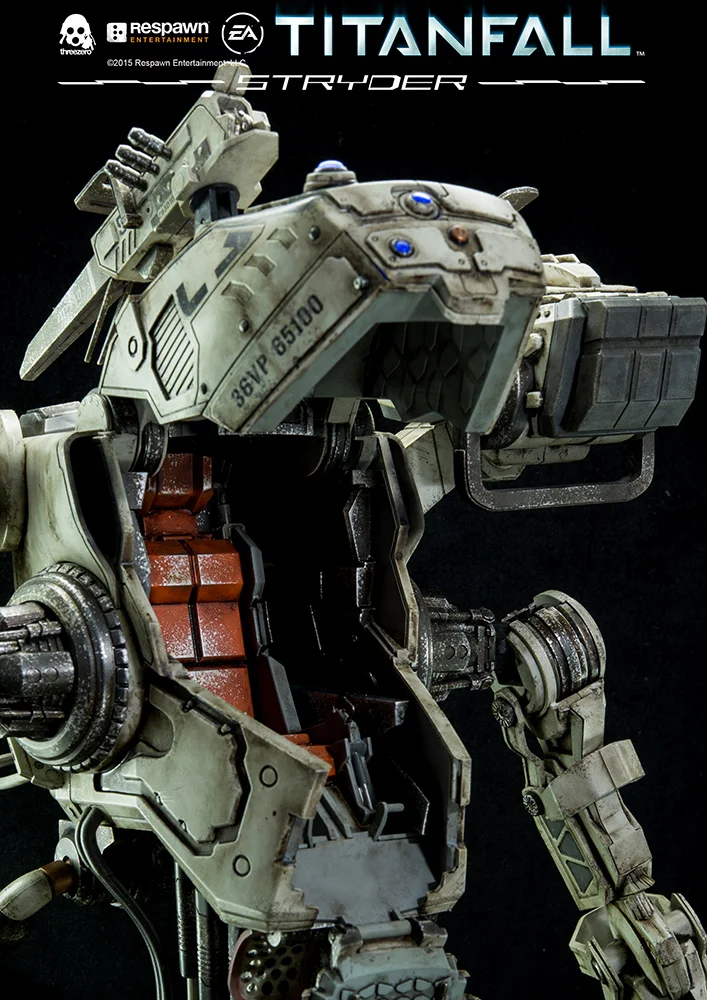 TF_Stryder_DSC_2708.jpg