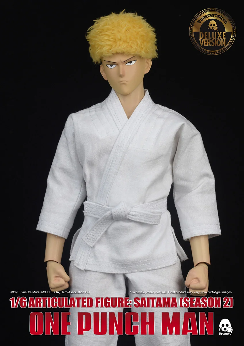 Saitama_S2_9510.jpg