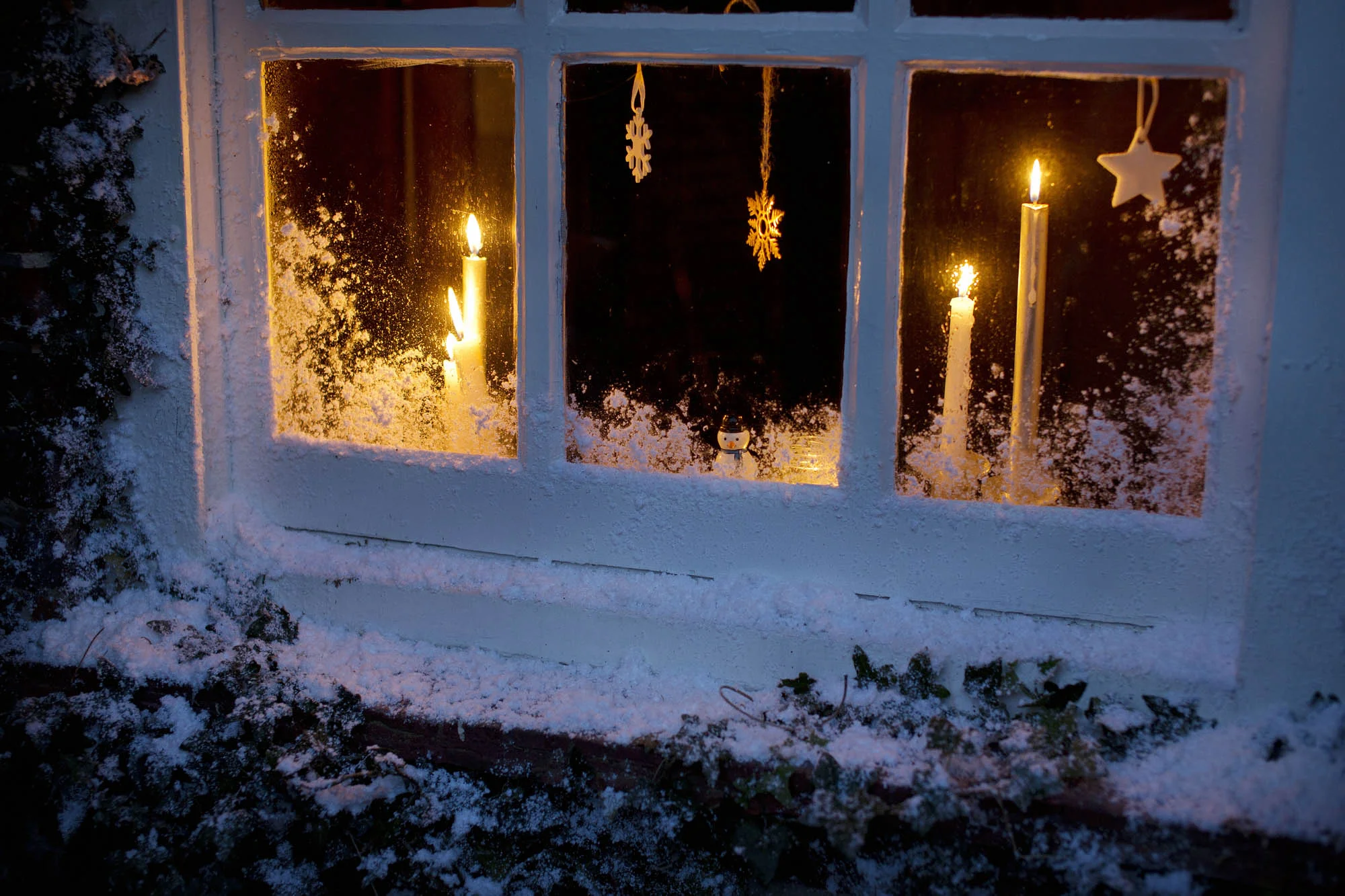 Day9_673.jpg