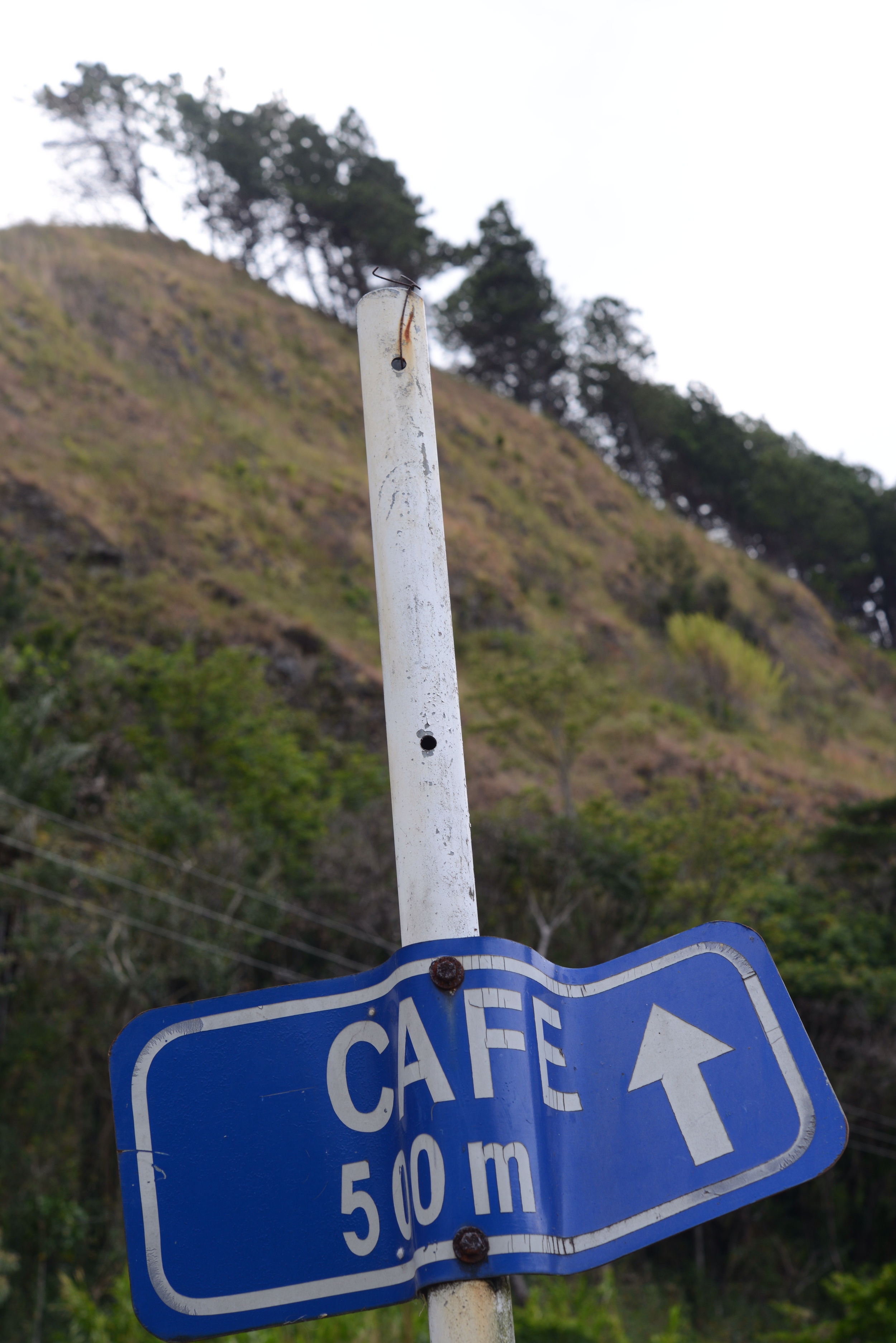 alles hier ist kaffee - everything coffee