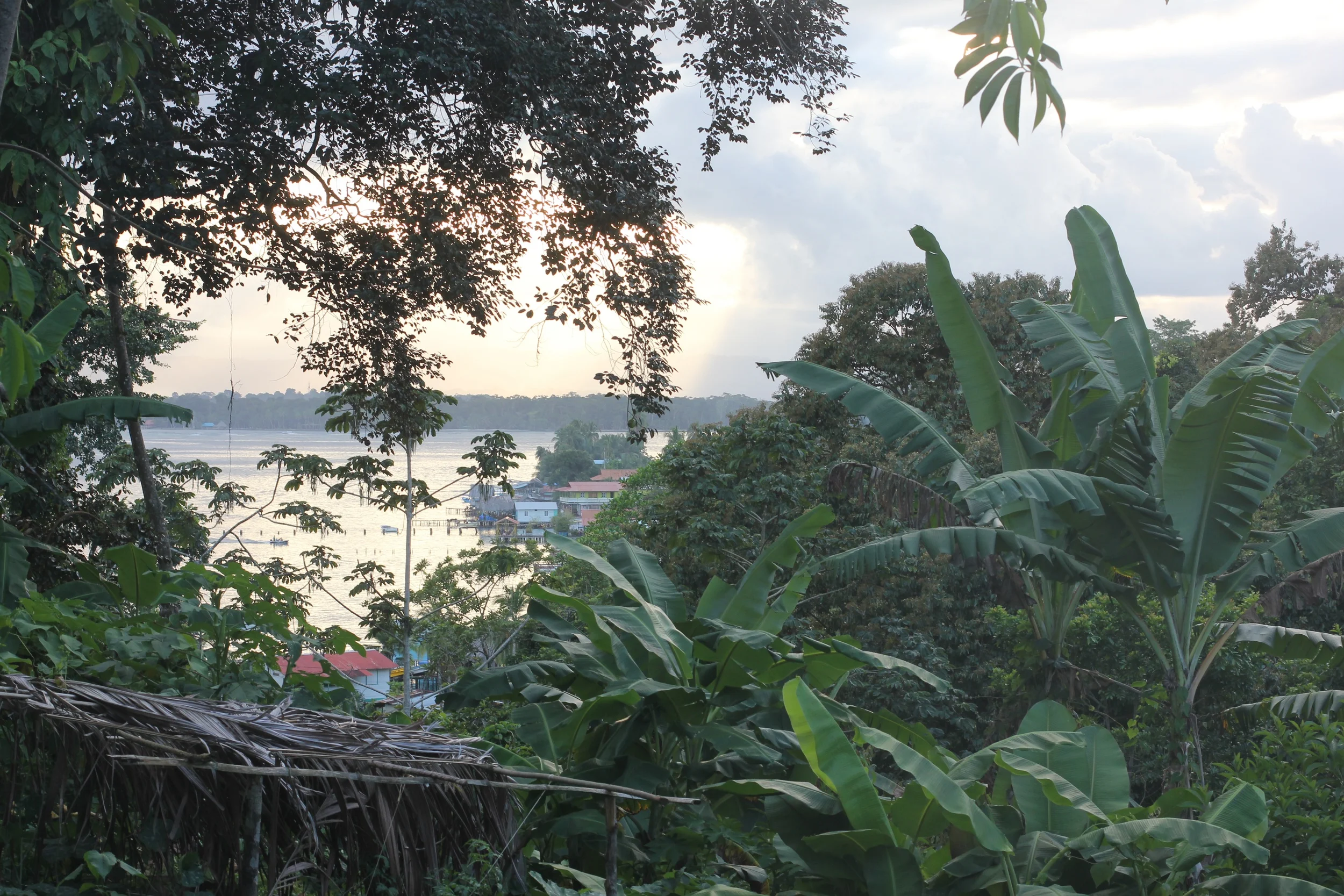 view from the hill