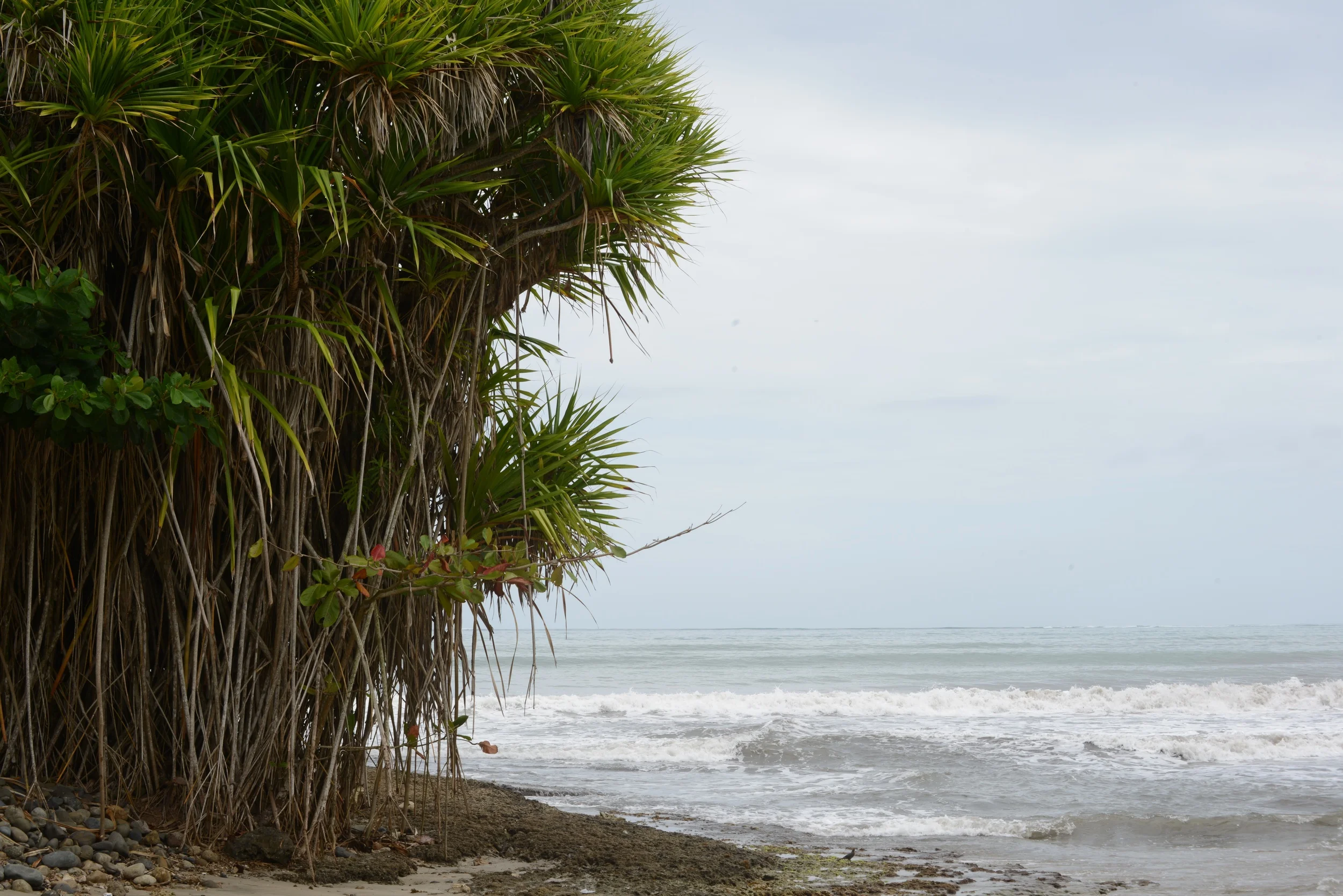 entrance to the white beach