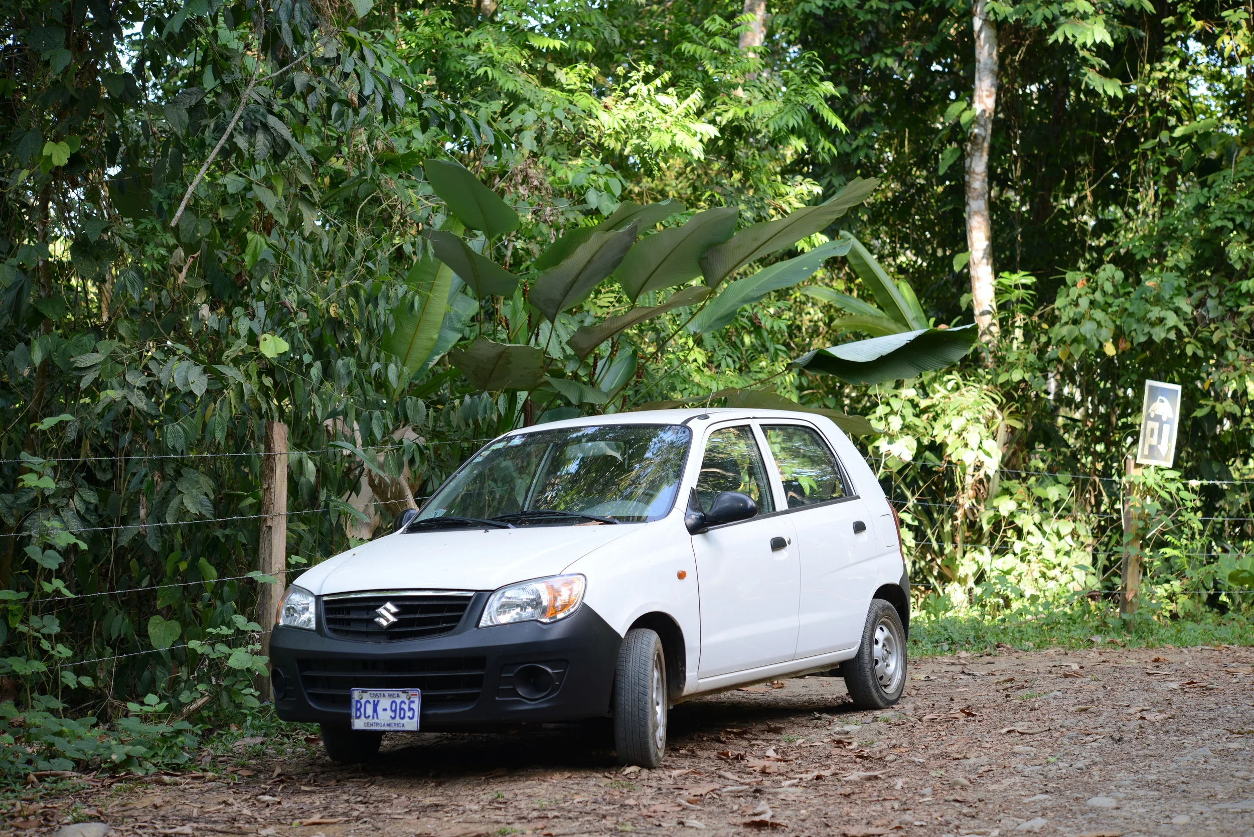 a suzuki whatever