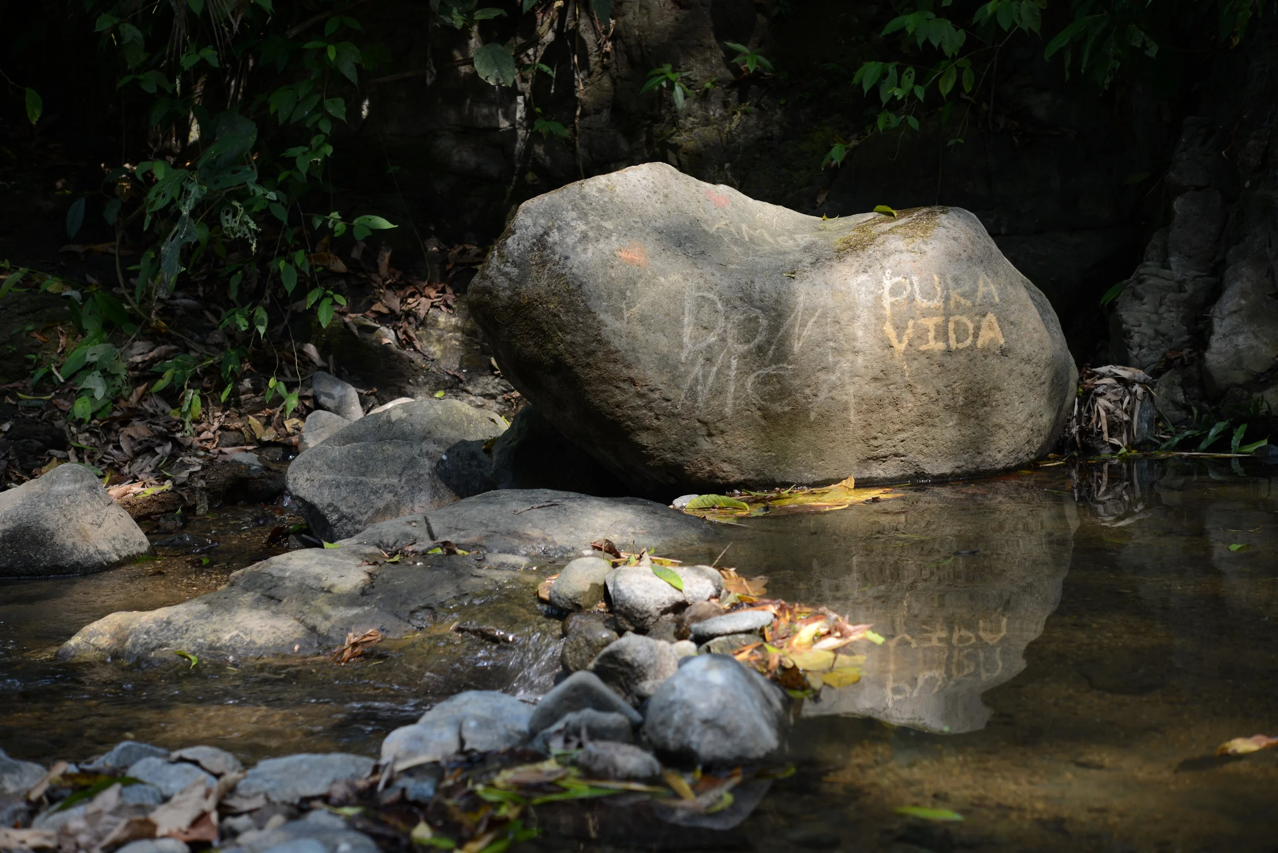 pura vida!