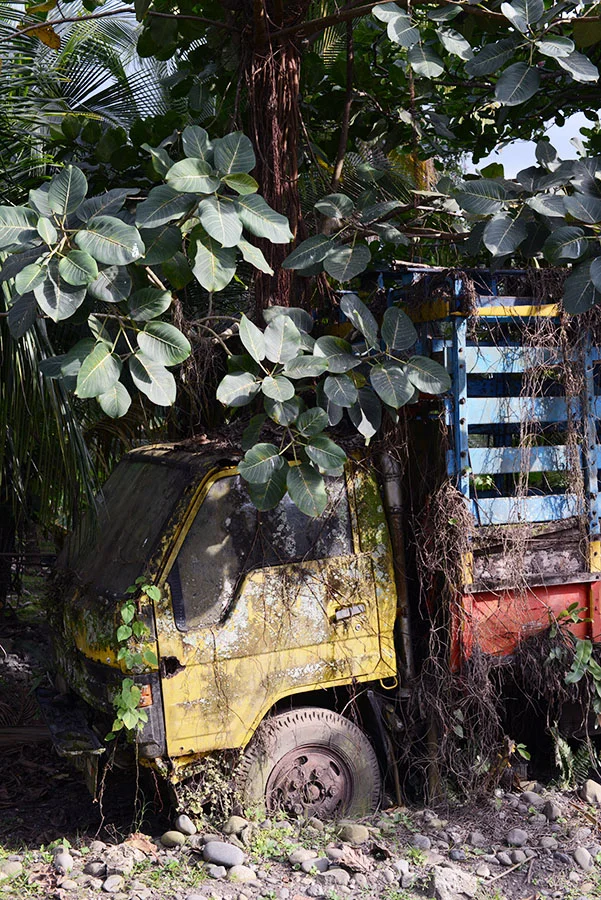  die Natur frisst die Welt, Cahuita - Costa Rica, März 2014 