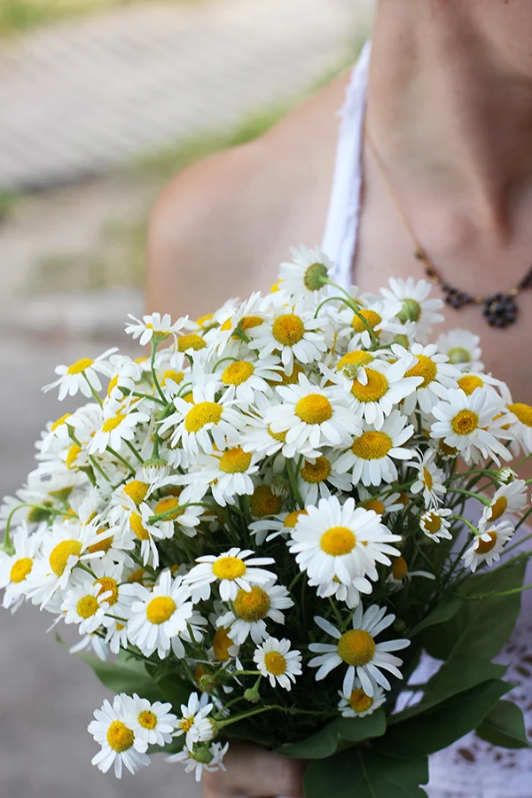  meine Frau und der Brautstrauss - Klosterneuburg, Juli 2014 