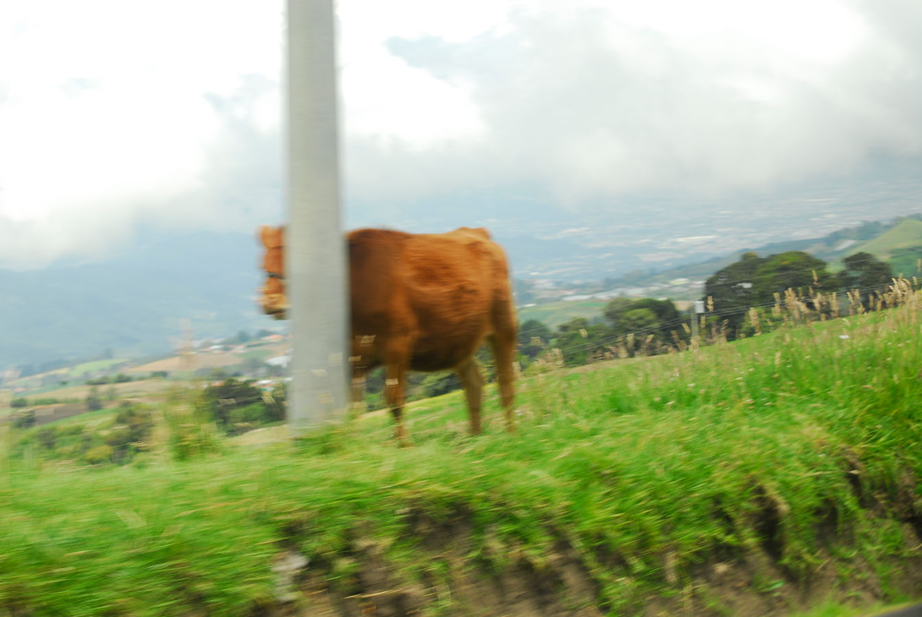 I am not there. on the slopes of Irazú volcano - Costa Rica, august 2011