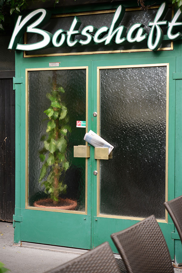   epipremnum aureum  - Wien, Juni 2016 