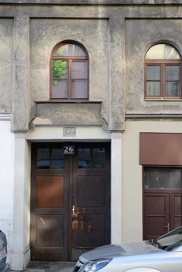   pachira aquatica &nbsp;- Wien, Februar 2016 