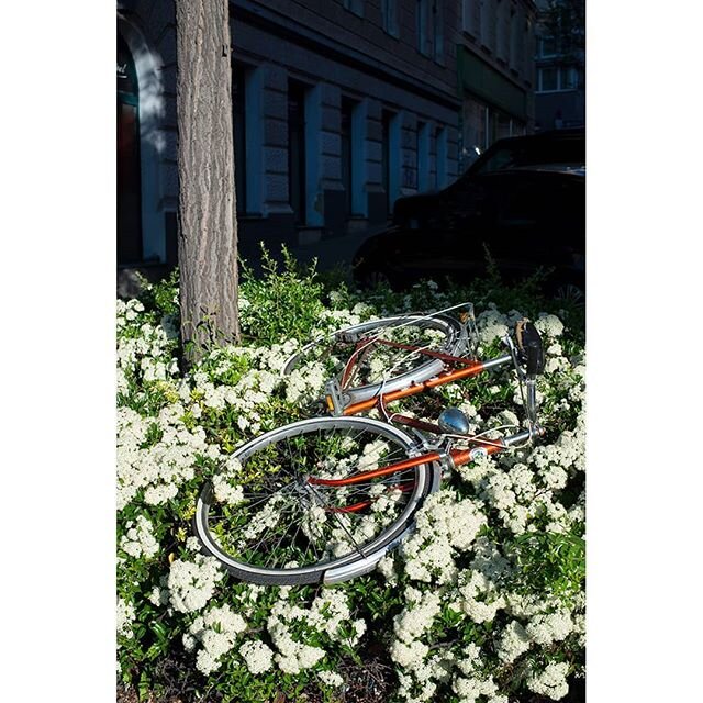 bike funeral
#vienna #streetphotography #streetart #dirt #bicycle