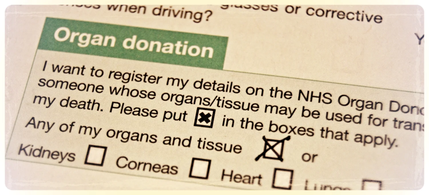 Better Decisions with Default Options