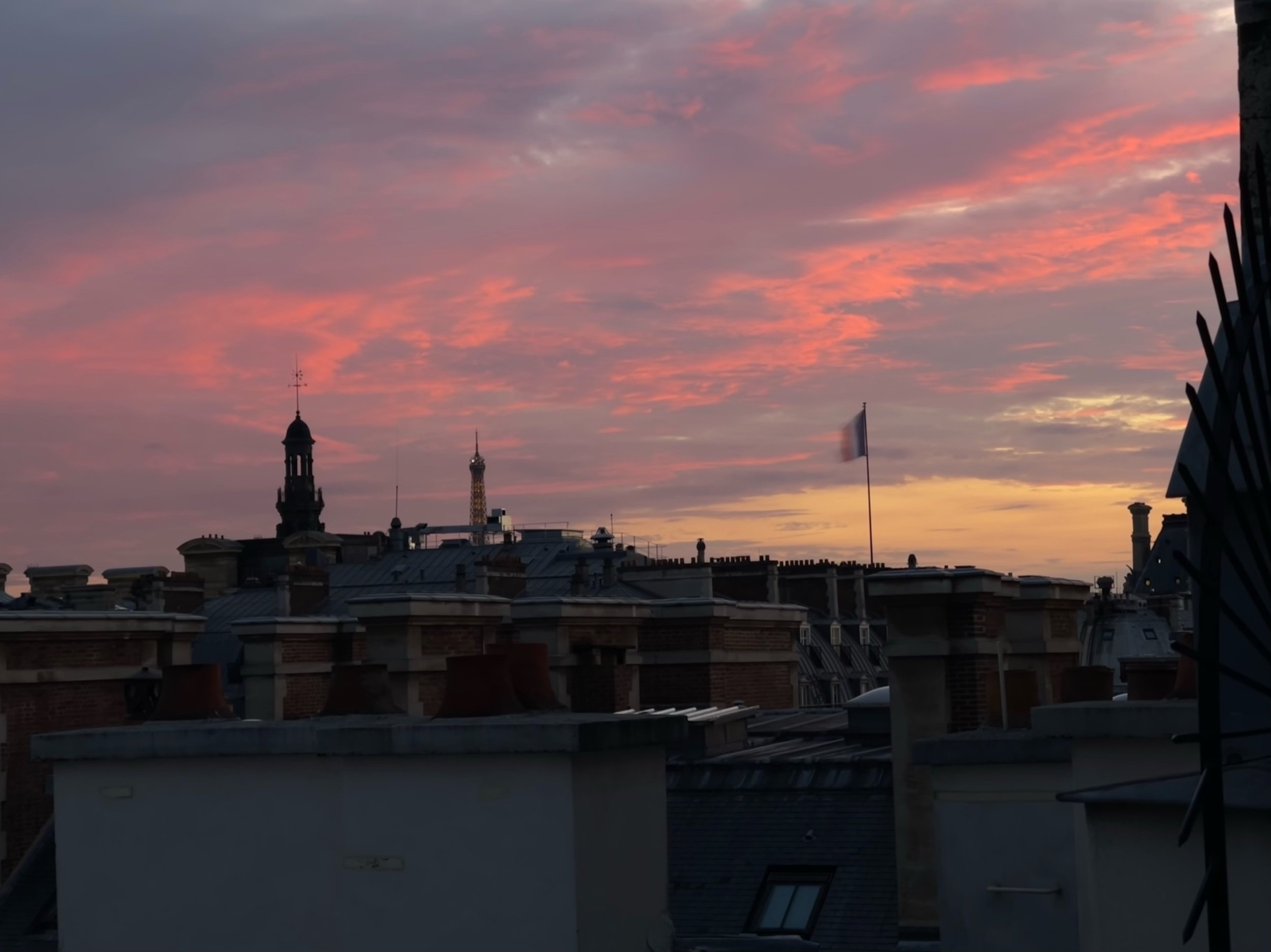IMG_0103.jpeg
