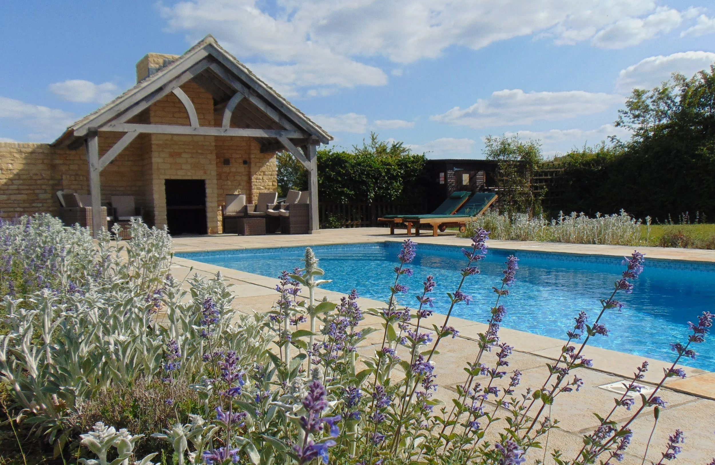Pool with blue flowers.JPG