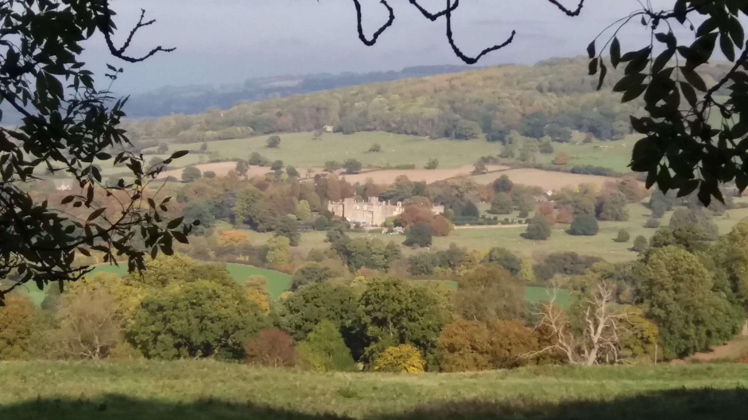 20161026_143816.jpg