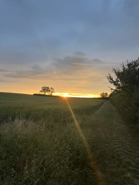 skylark sunset view.jpeg