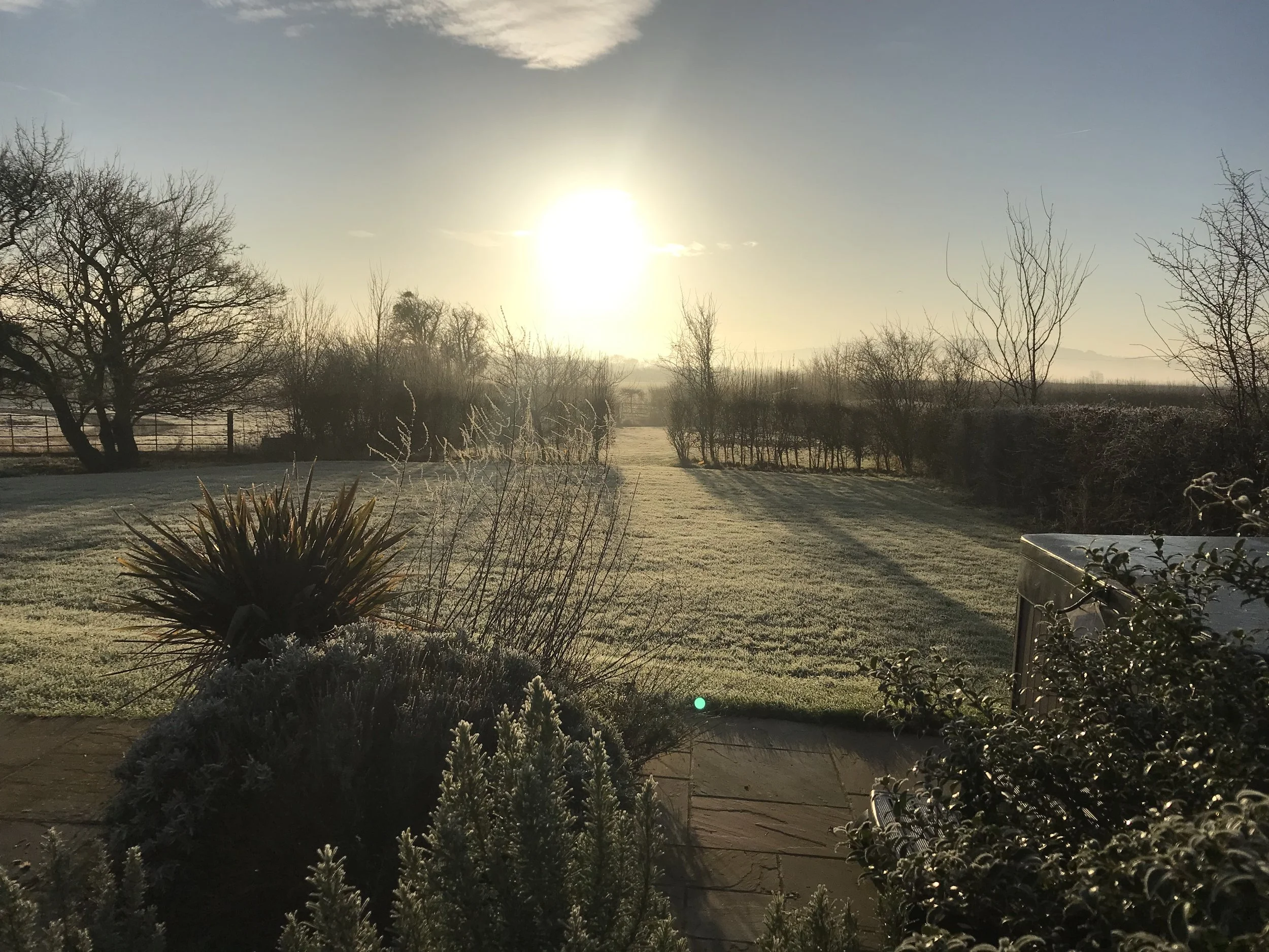 IMG_2624 airbnb winter garden.JPG