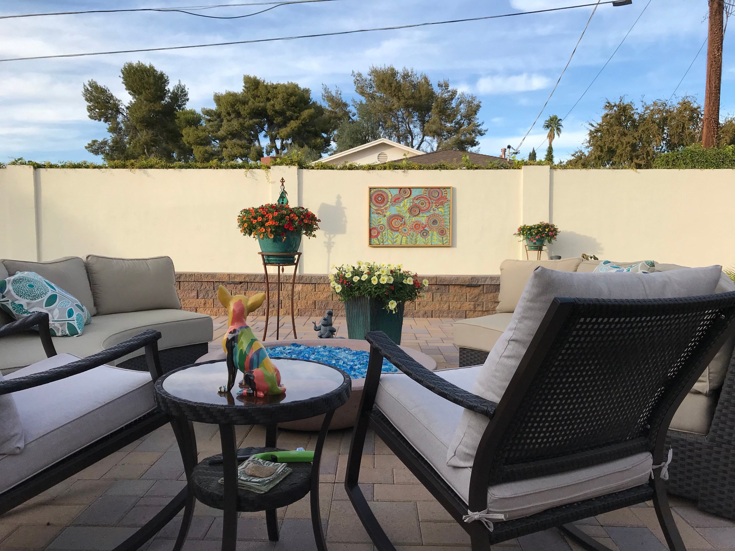 Blue Birds in Phoenix Arizona.jpg