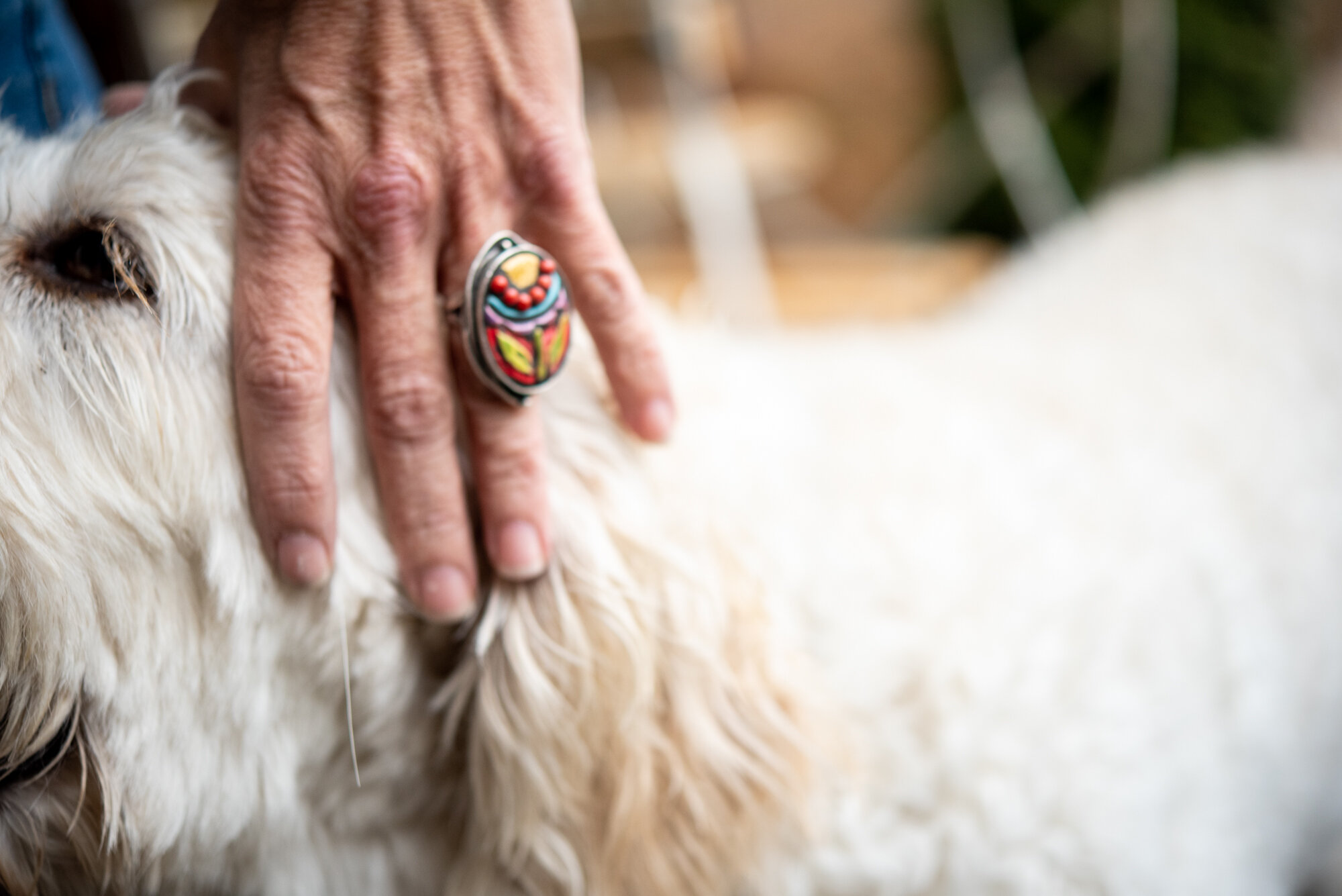 20191209 3173First Look Ring with Clare and Bella.jpg