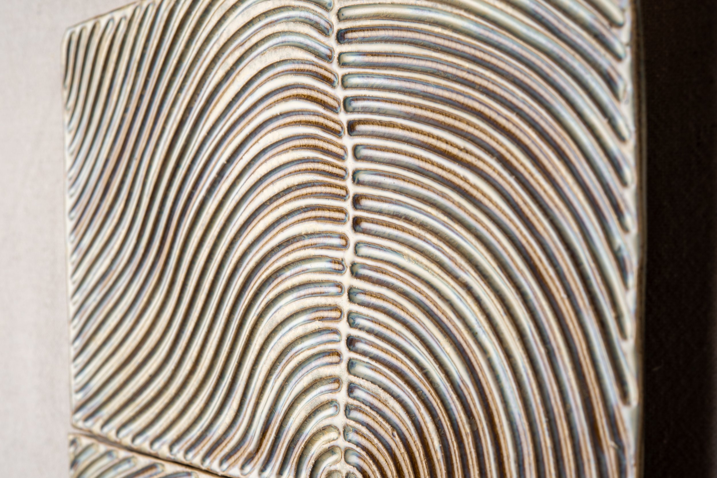 20250414 1491_CRS - Fern Organic.jpg