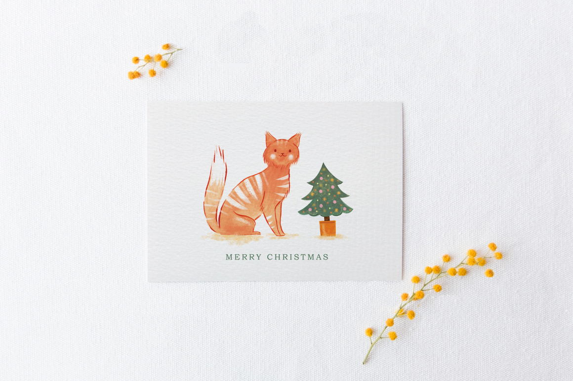 Ginger Cat.jpg