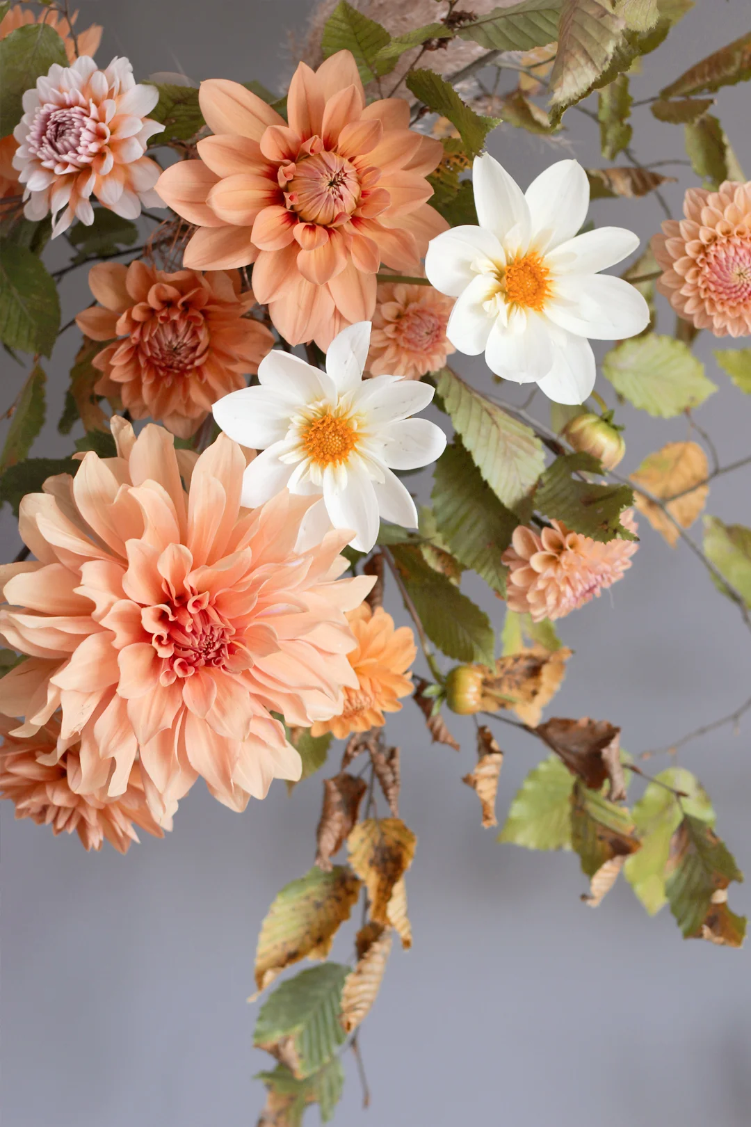 hanging-floral-arrangement-dahlia-autuman-fall-nancy-straughan.jpg