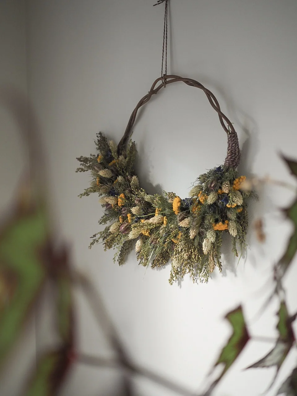 Image from Botanical Tales