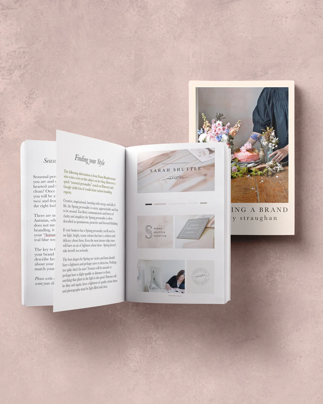 Starting a Brand: A Comprehensive Guide E-Book
