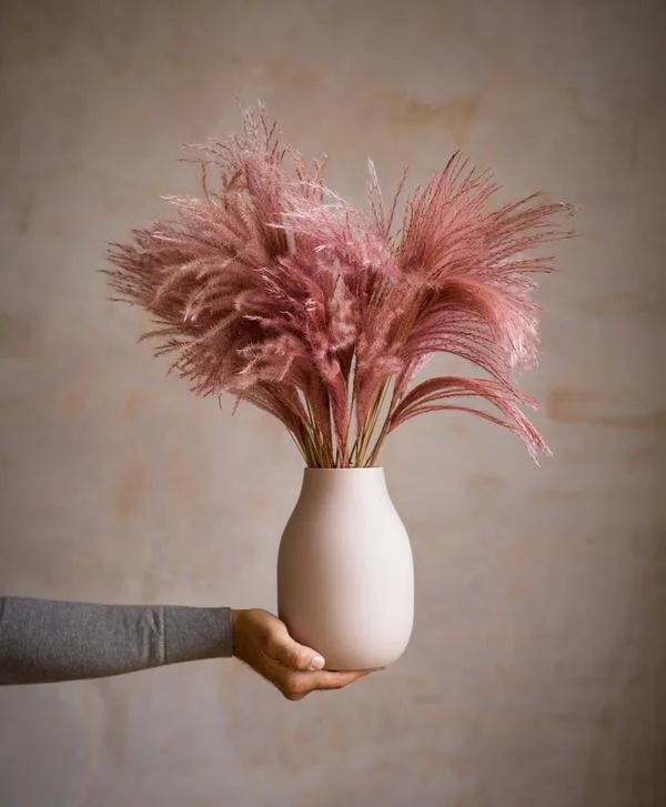 dried-stipa-feather-pink-fox-flowers