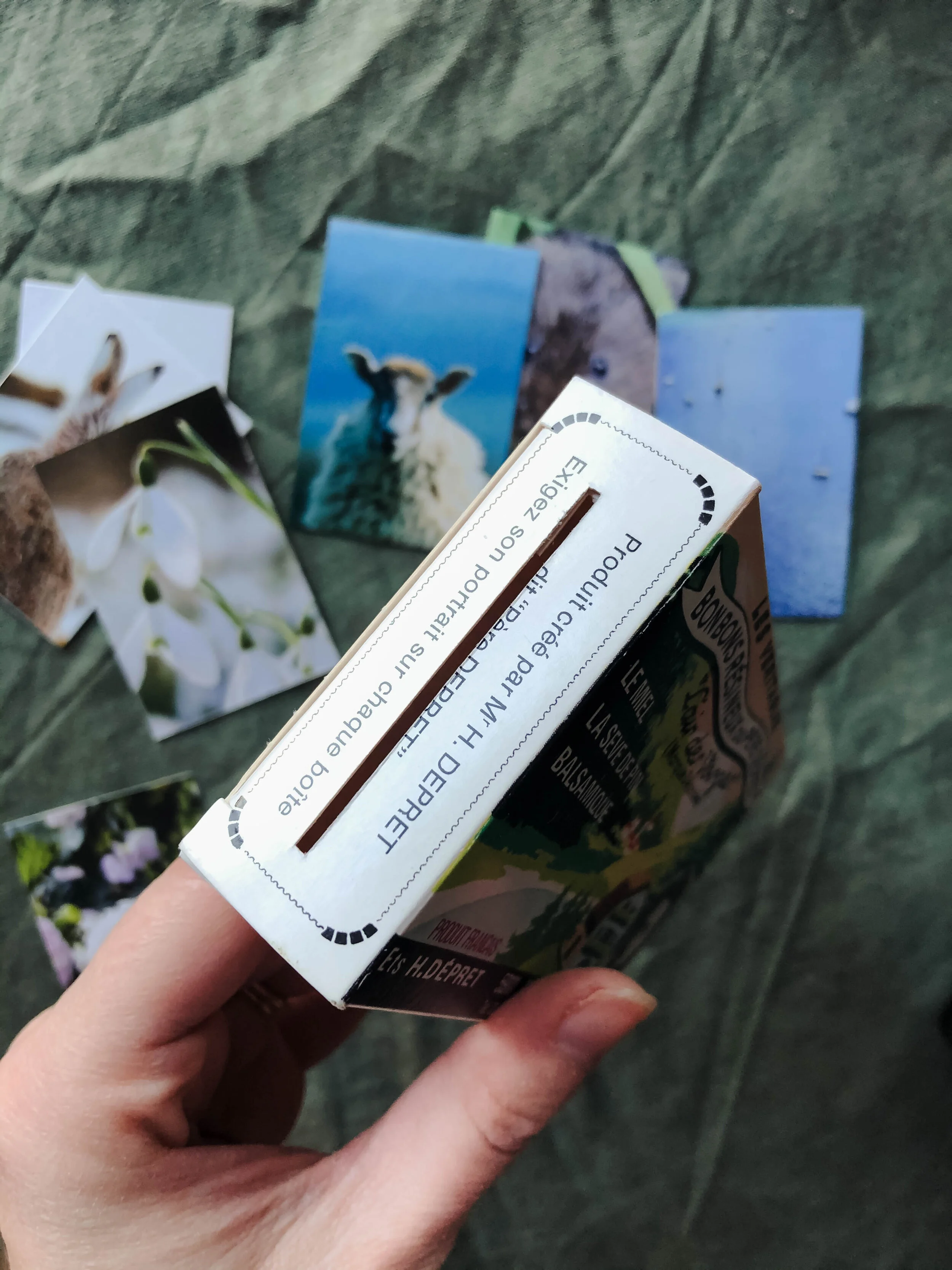 How To  - DIY Cardboard Toy Camera-1.jpg