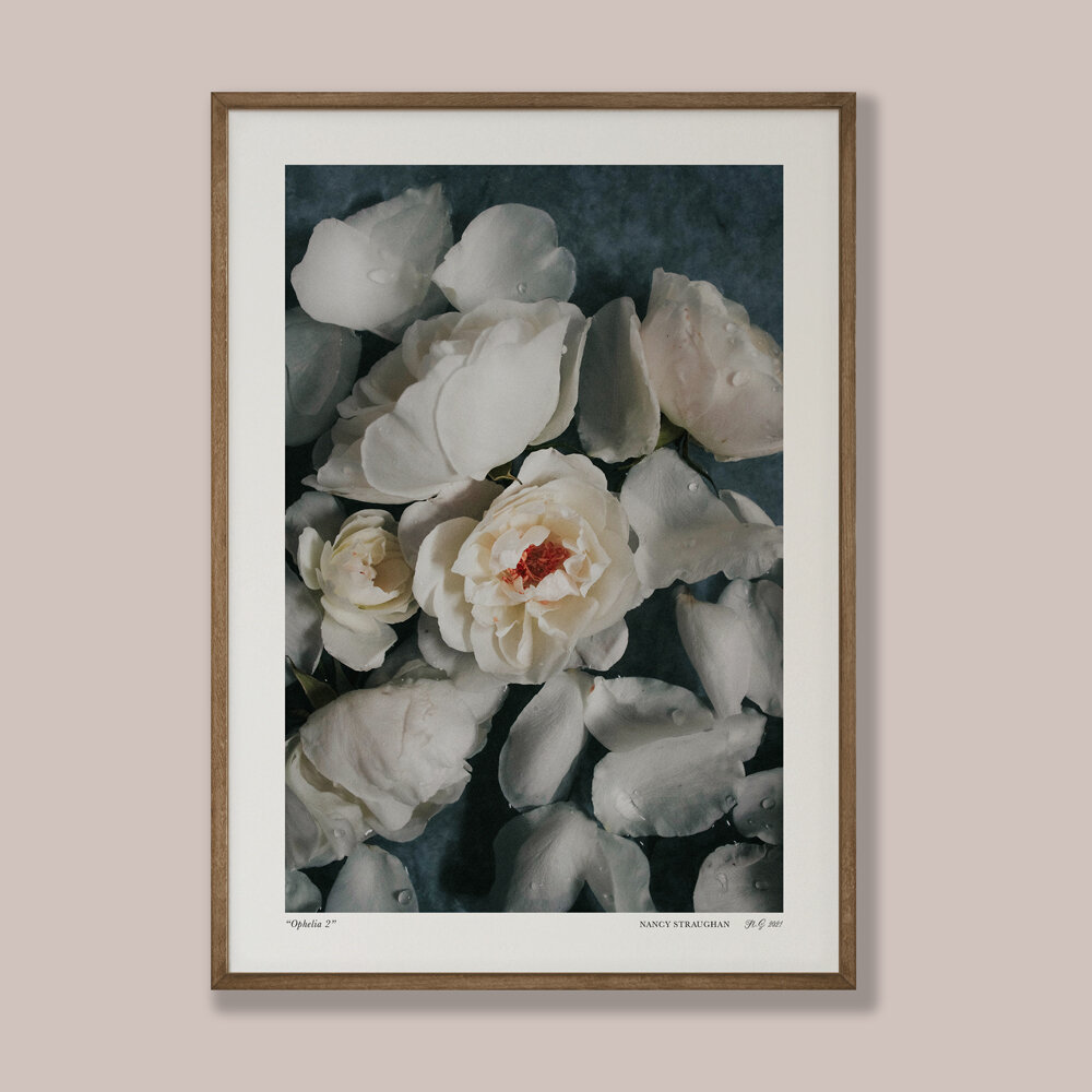 Nancy_Straughan_Photography_Prints_Roses_in_Bath_2.jpg