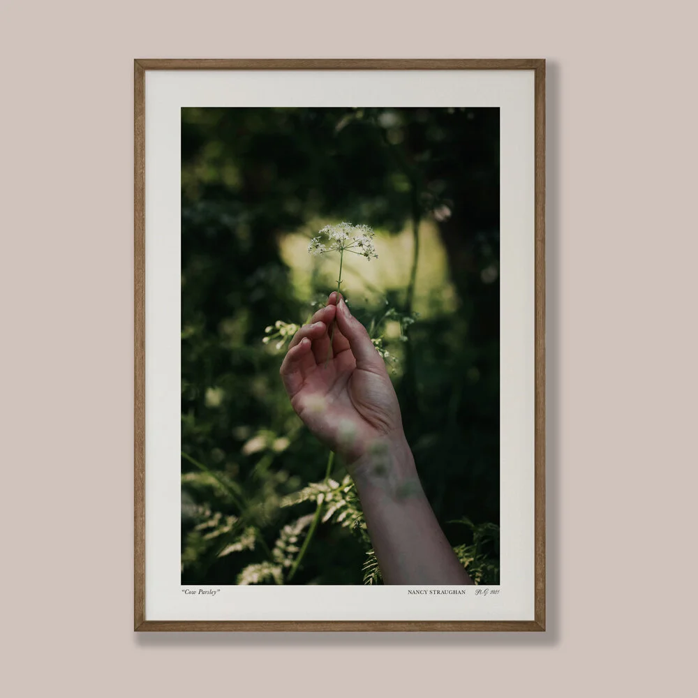 Nancy_Straughan_Photography_Prints_Cow_Parsely.jpg