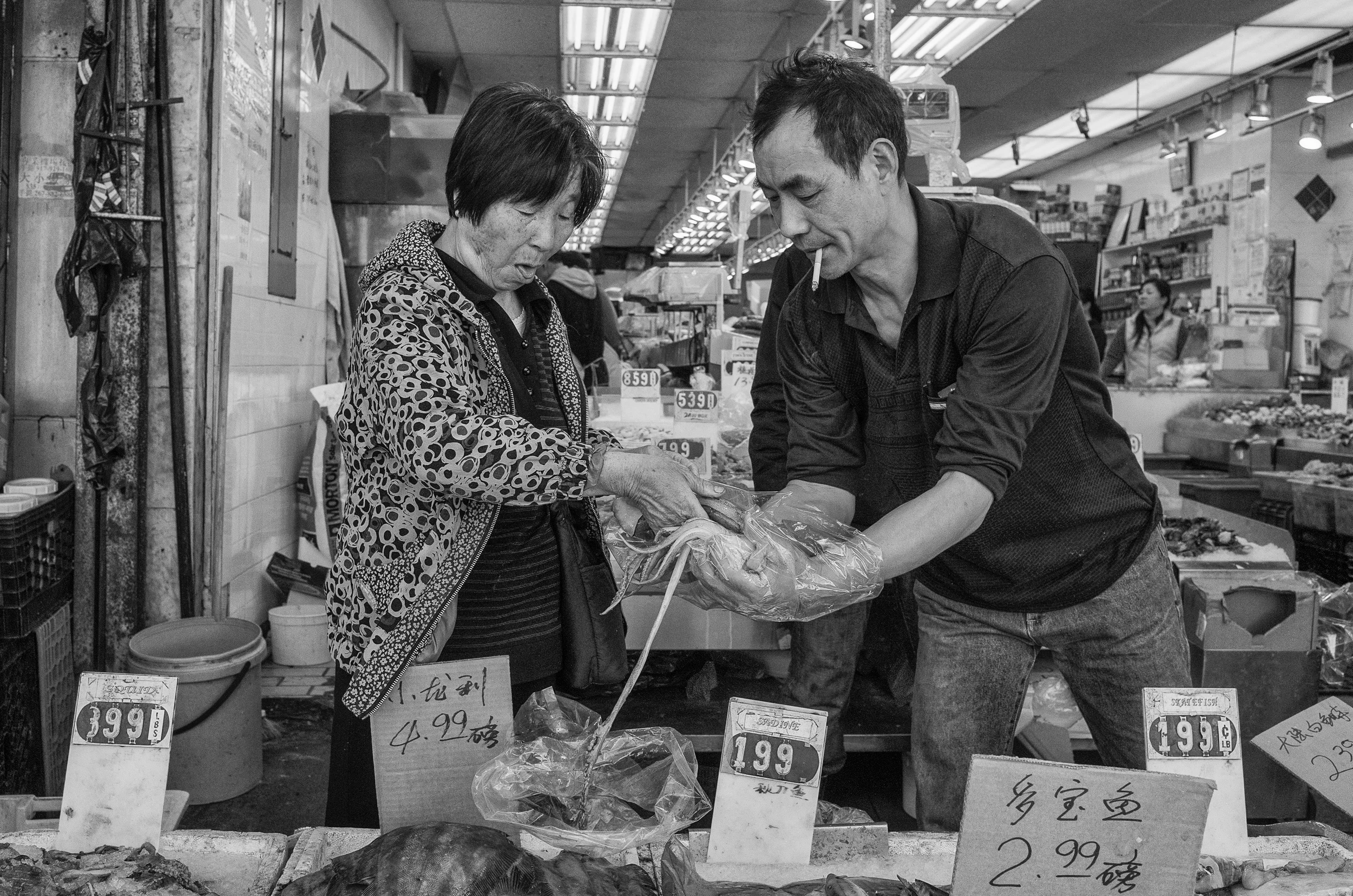 ChinatownFishMarketFinal.jpg