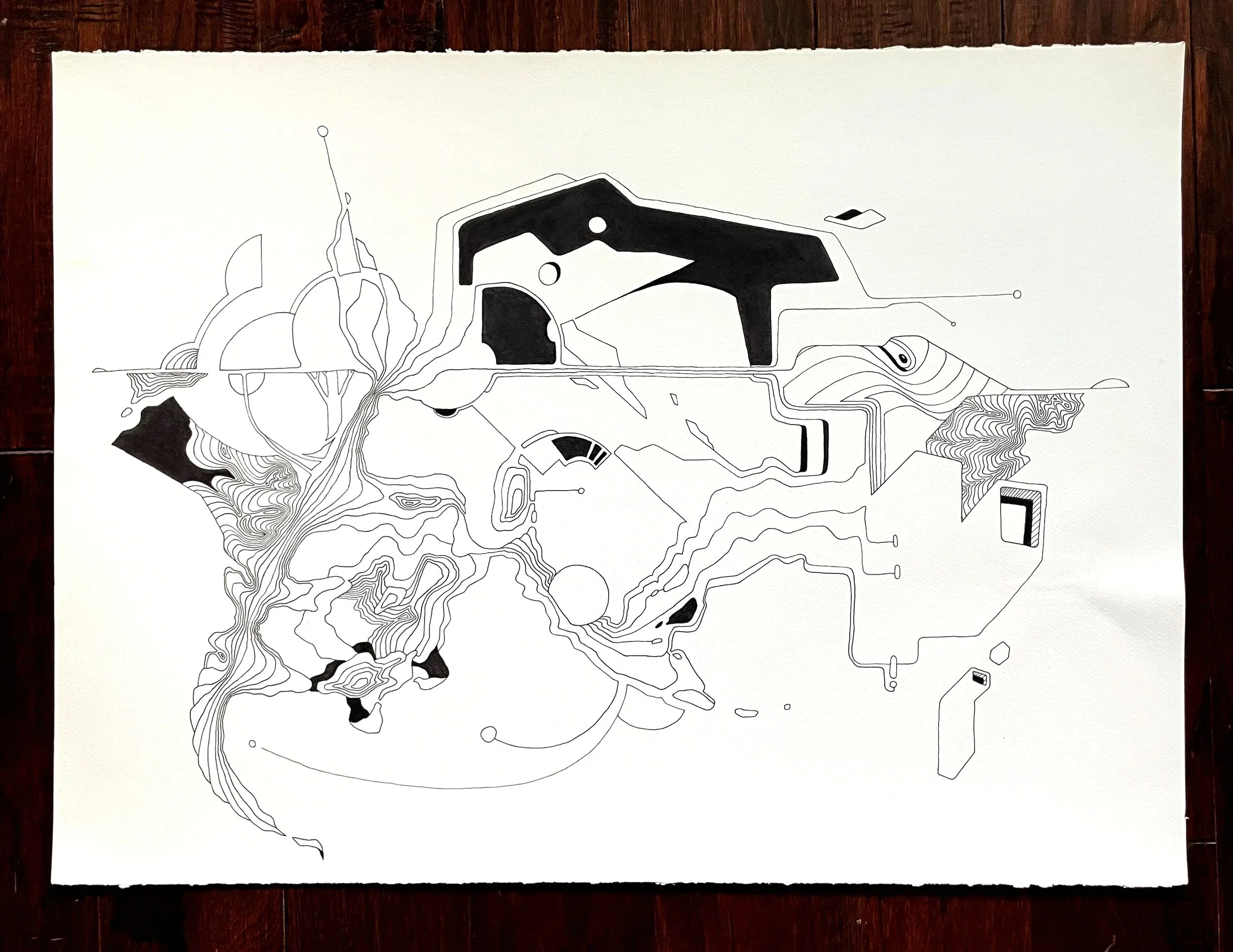 STS9 Poster - Charleston 2024 - Original ink drawing