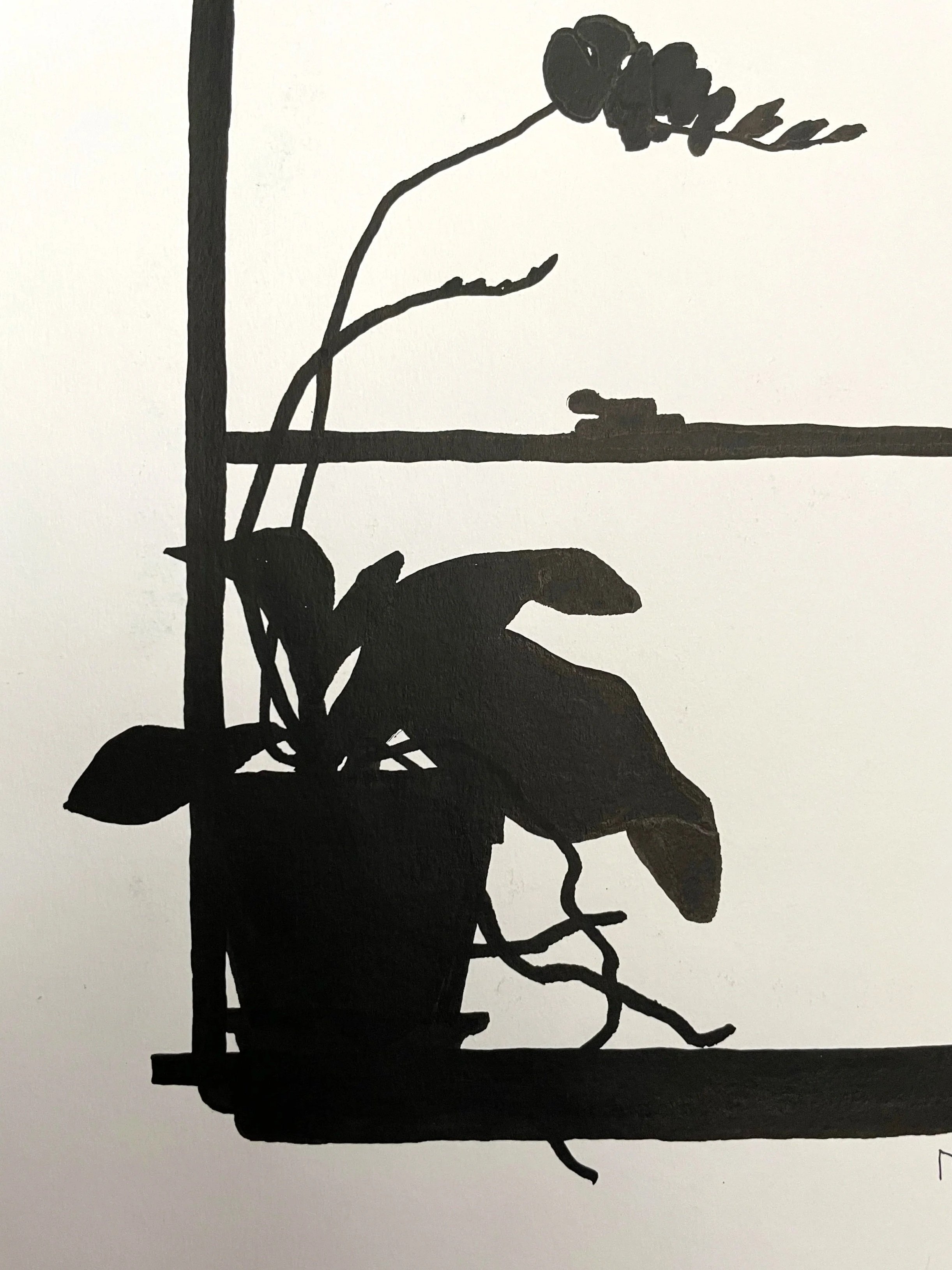 Orchid in the Window - Framed Drawing