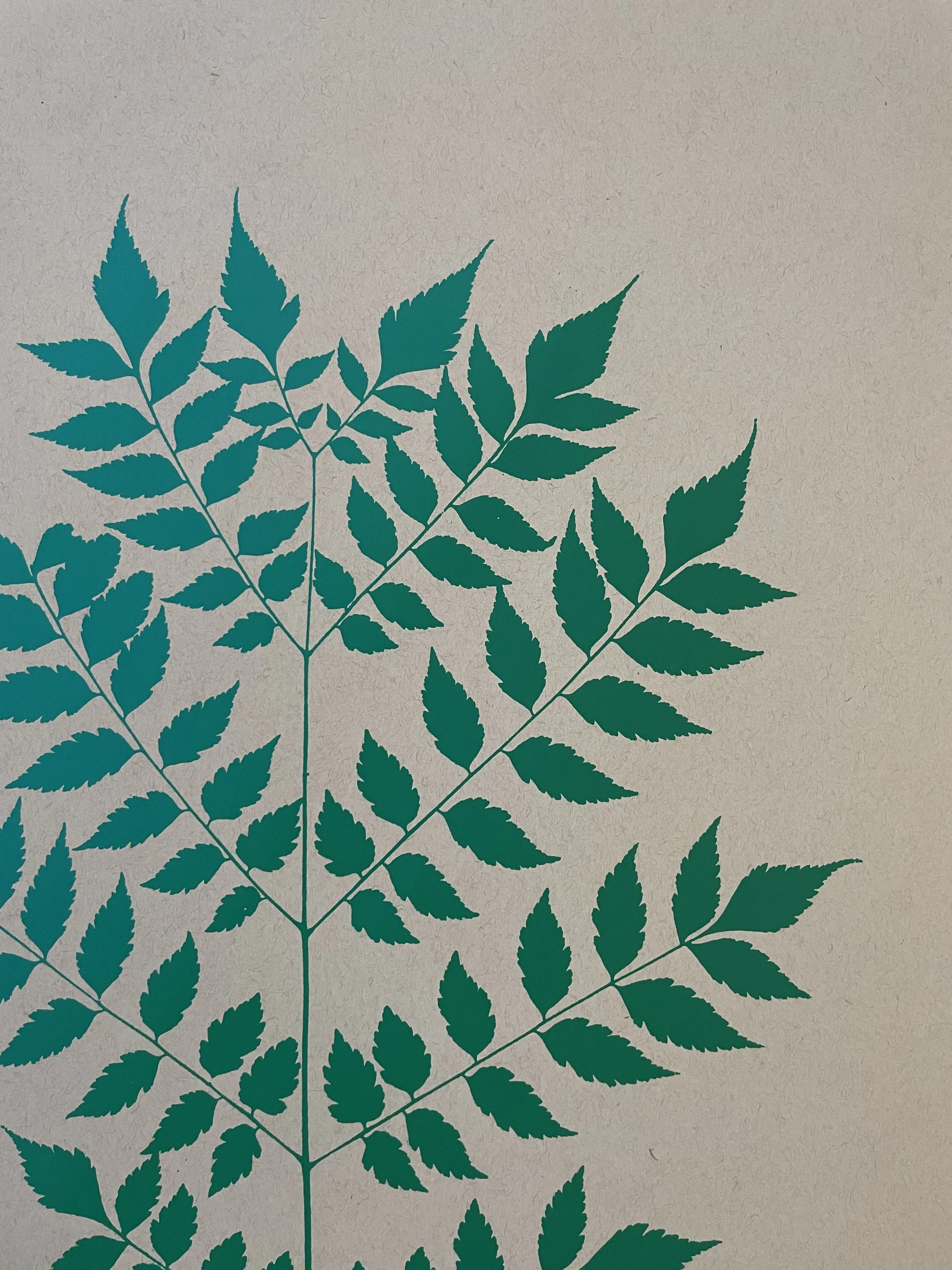 Leaf Screenprint 3