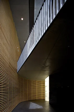 Ctx_111_website.jpg