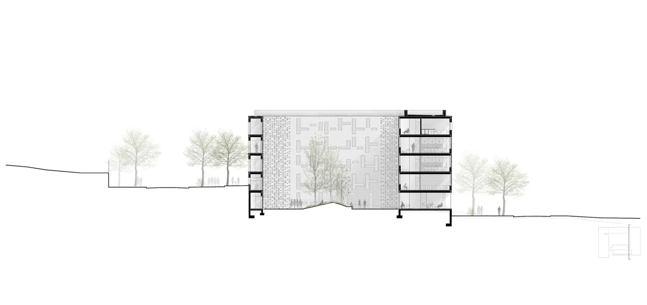 CorteT03-web.jpg