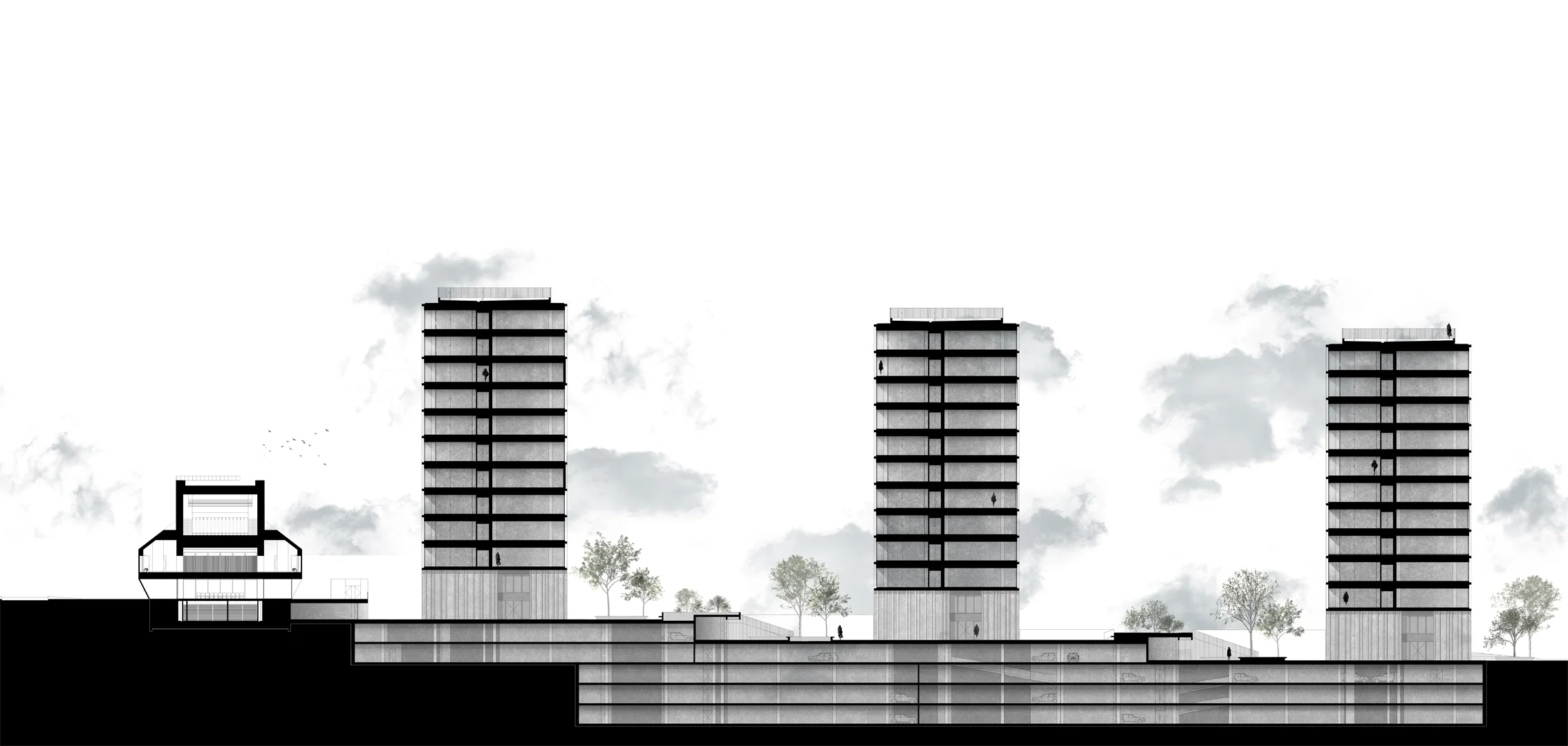 Corte L01.jpg