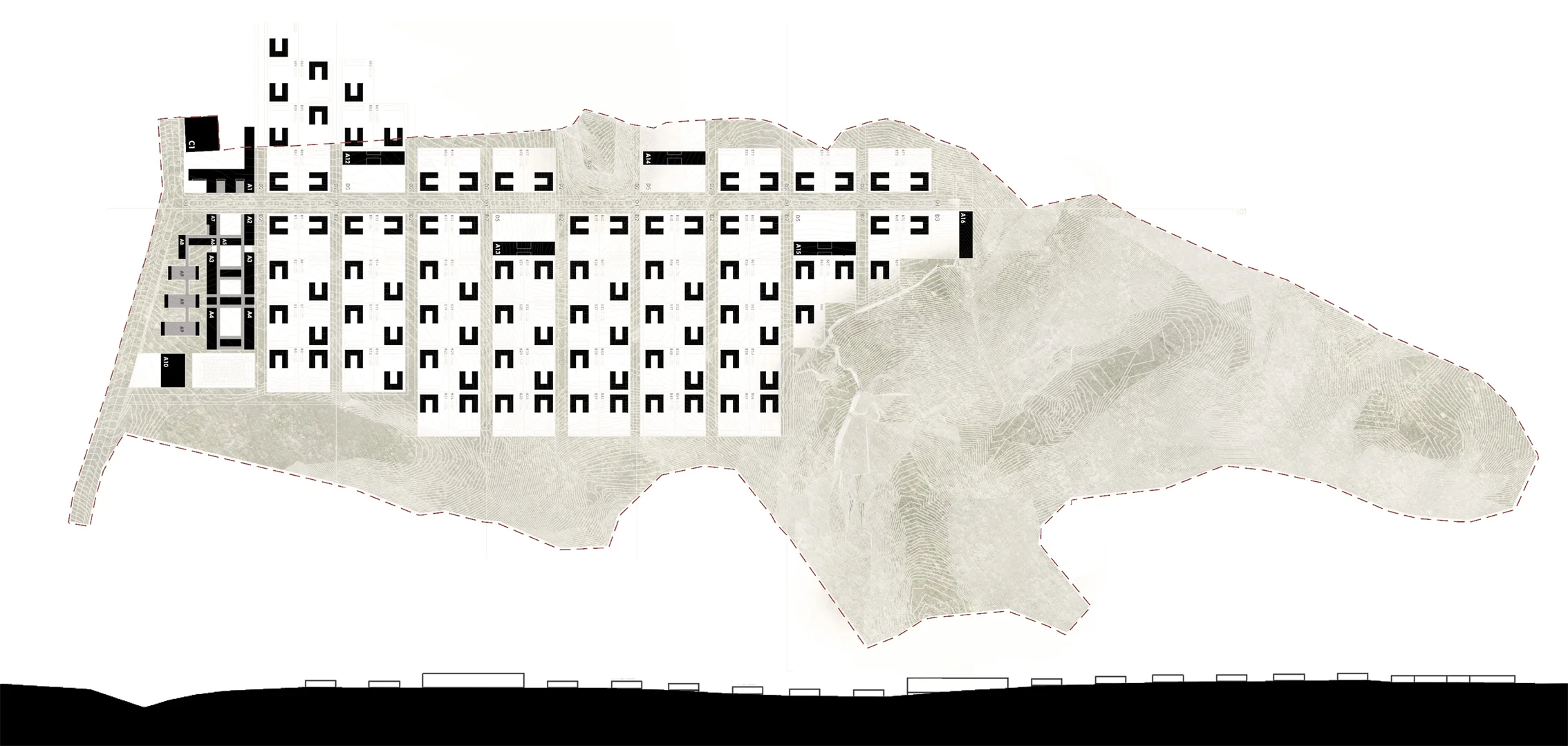 masterplan generale.jpg