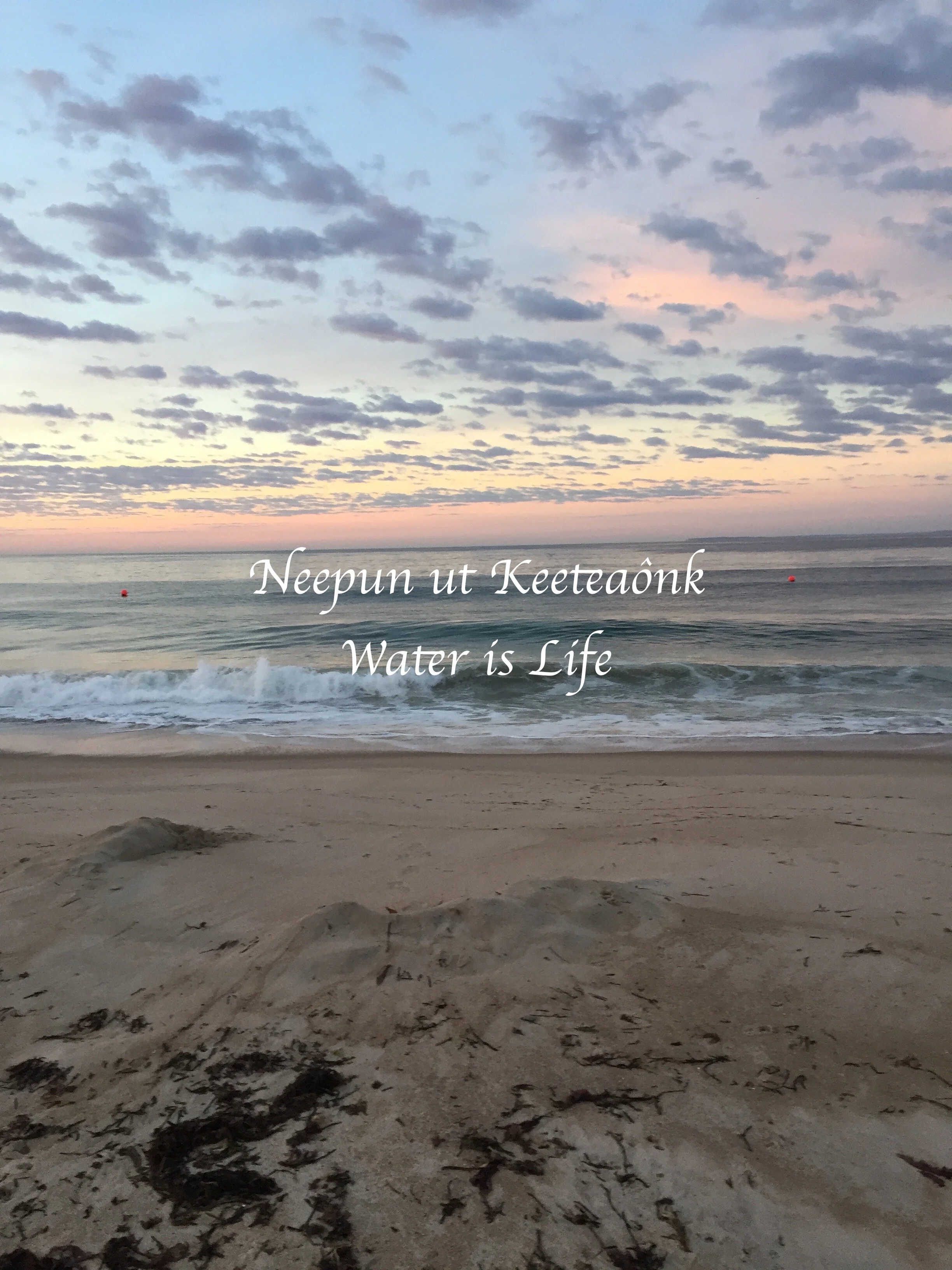 Pursuit of Happiness: Environmental Justice & Indigenous Rights Student Short Film Series