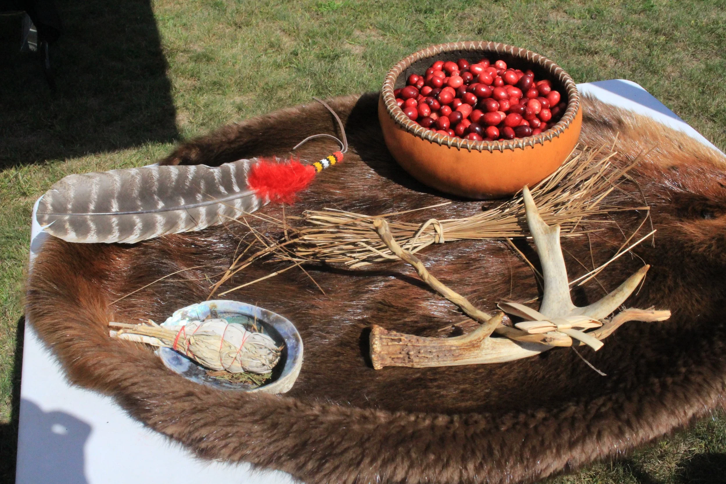 Cranberry Thanksgiving Returns October 3rd with Indigenous Foodways, Stories, and Seasonal Knowledge