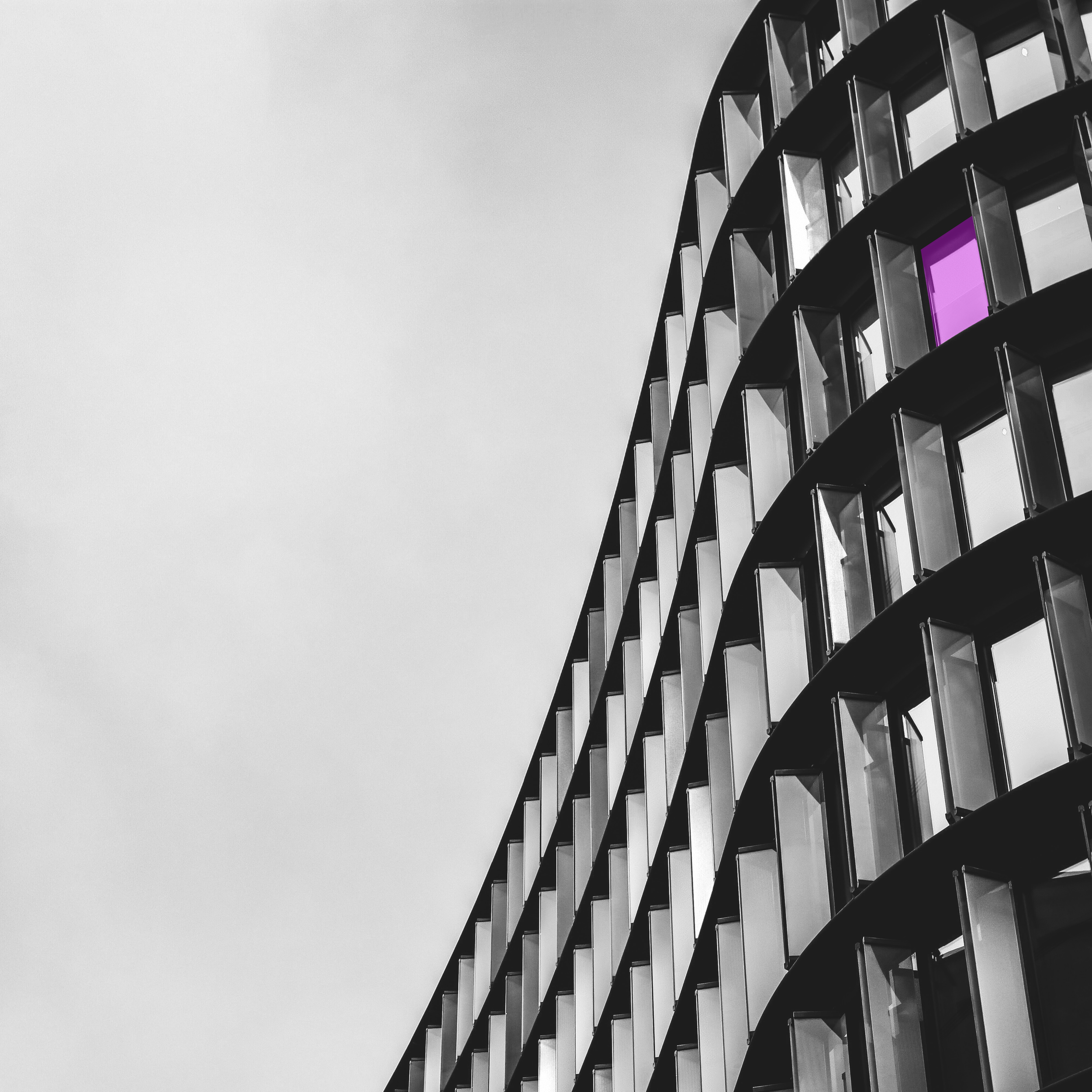 top pic purple.png