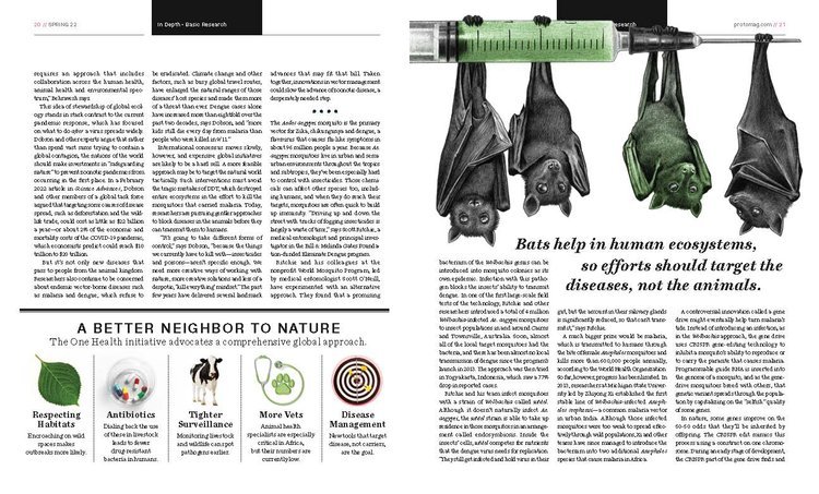 3_PROTO_SPRING22_FEAT_AnimalVectors_v2_Page_2.jpg
