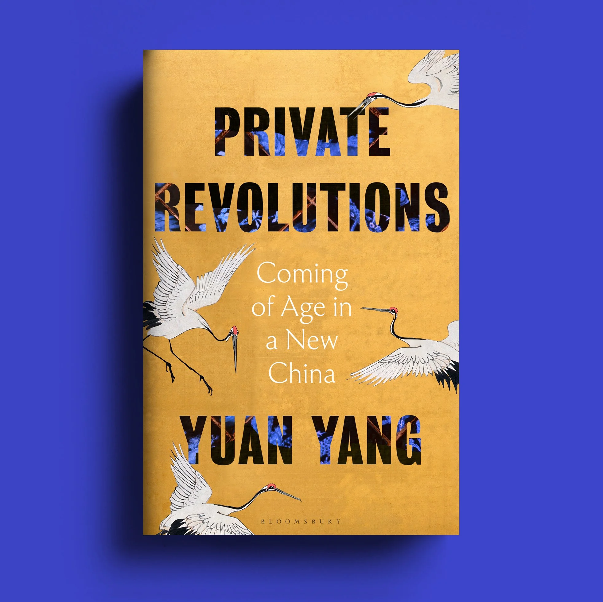Private Revolutions copy 2.jpg
