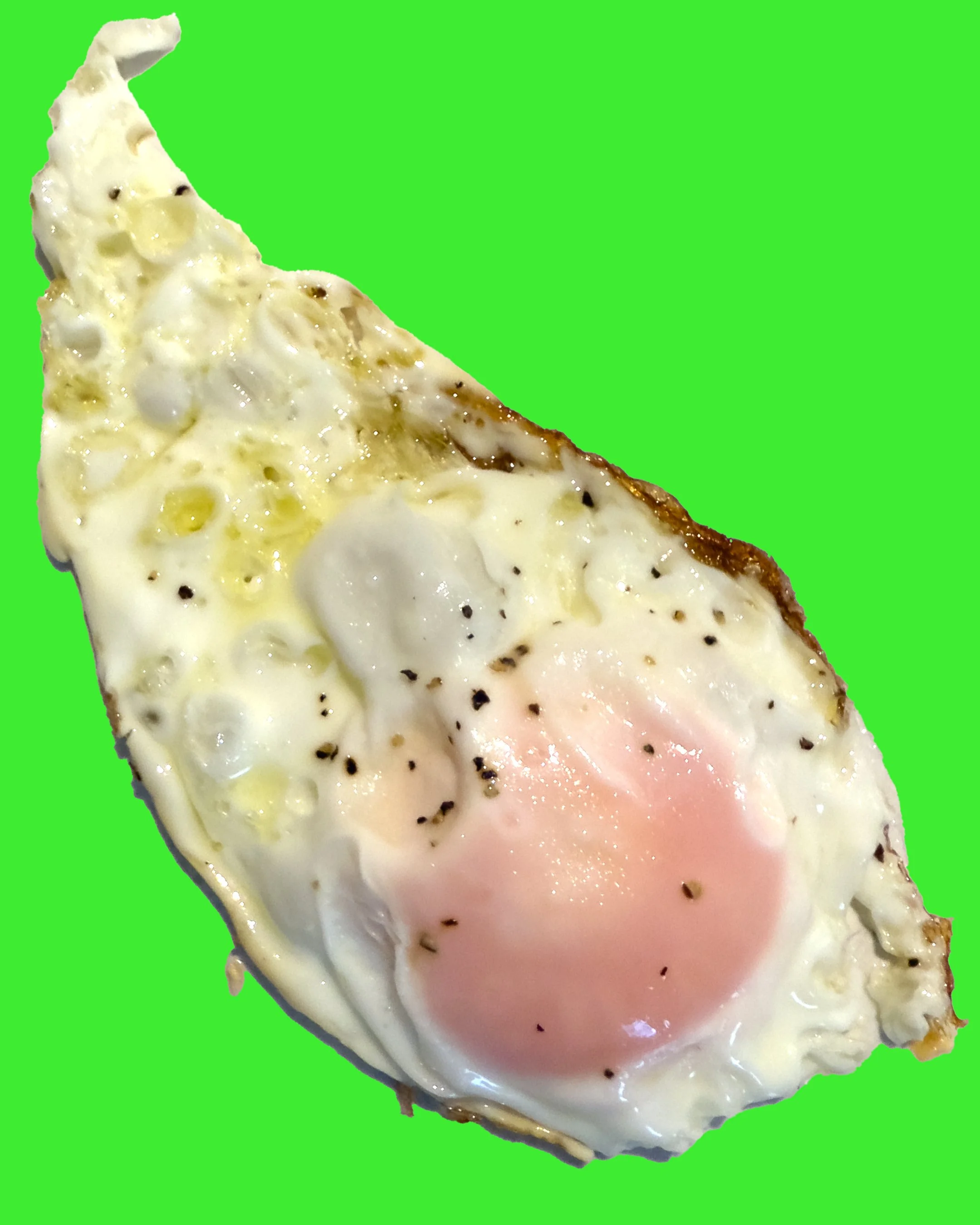 EGG 4.jpg